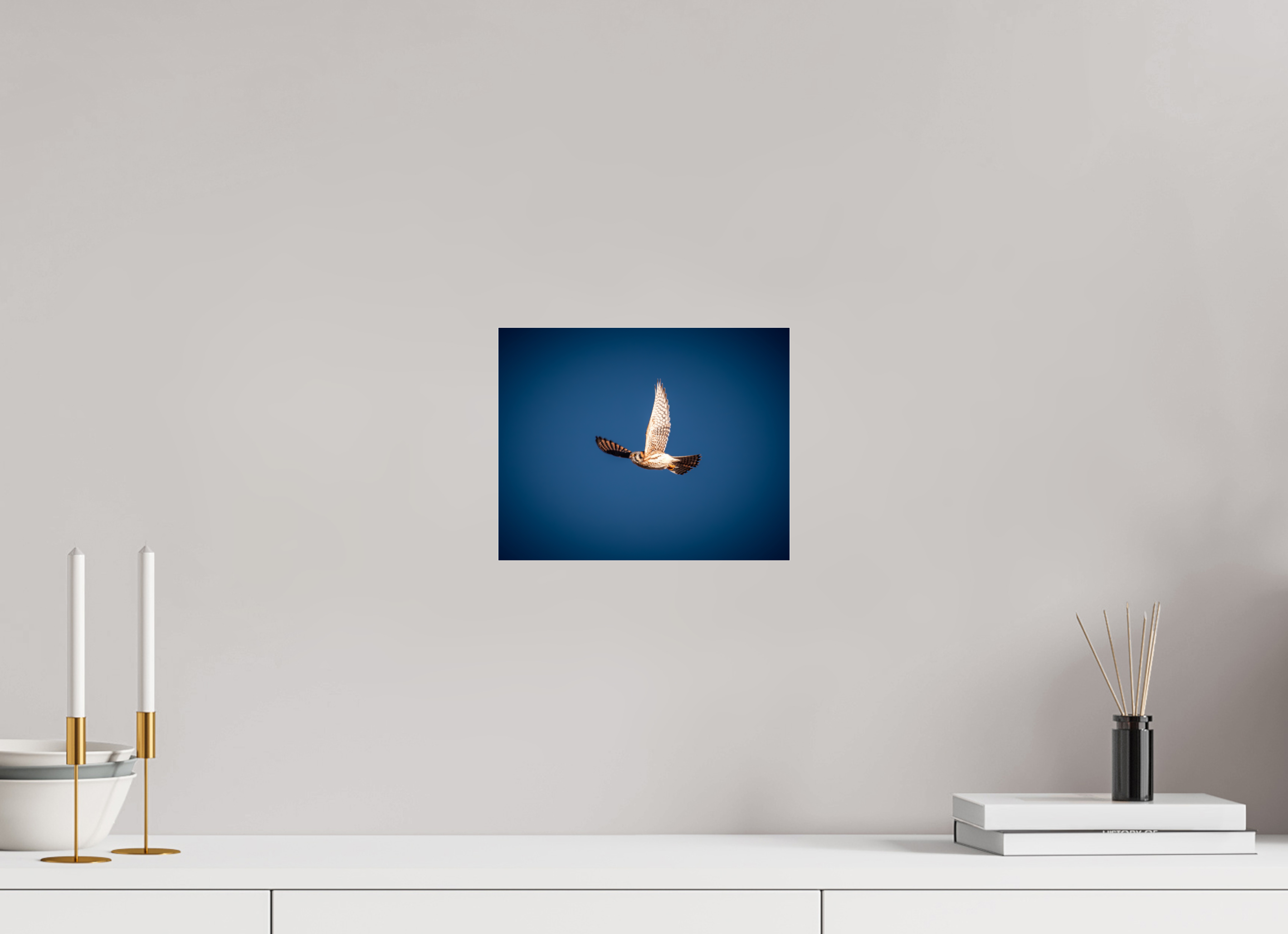 10 x 8″, Photo Print Under Acrylic Glass American Kestrel Soaring in Deep Blue Sky Salt Lake City