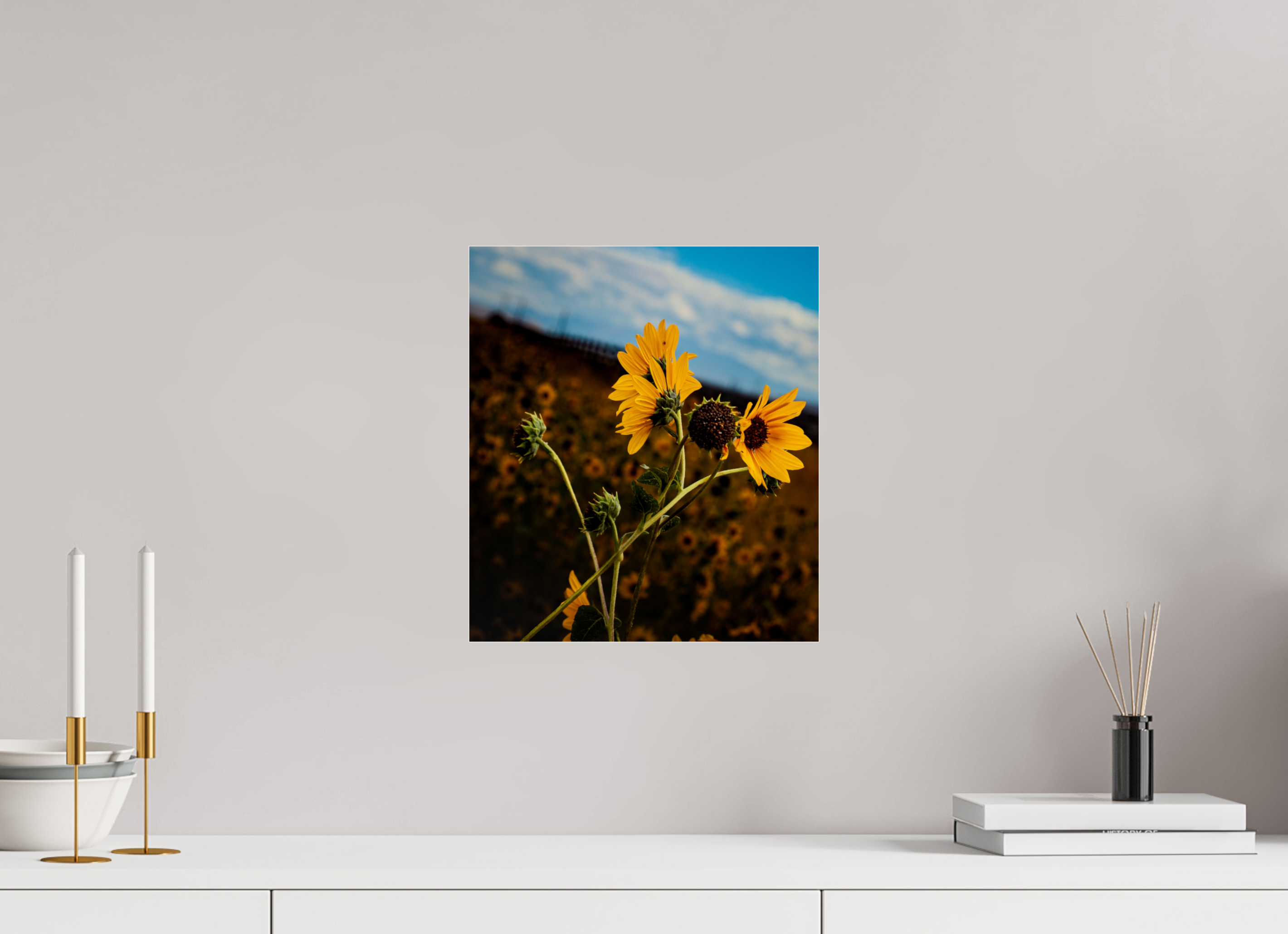 12 x 13.6″, Photo Print Under Acrylic Glass Wild Sunflowers