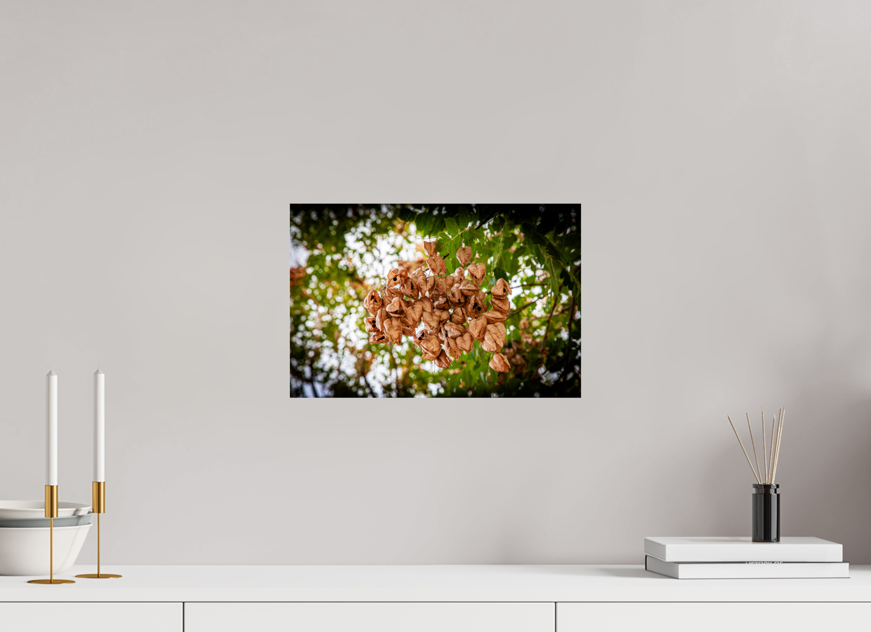 15 x 10″, Photo Print On Fuji Crystal DP II Sunlit Spider Web Golden Hour Salt Lake City