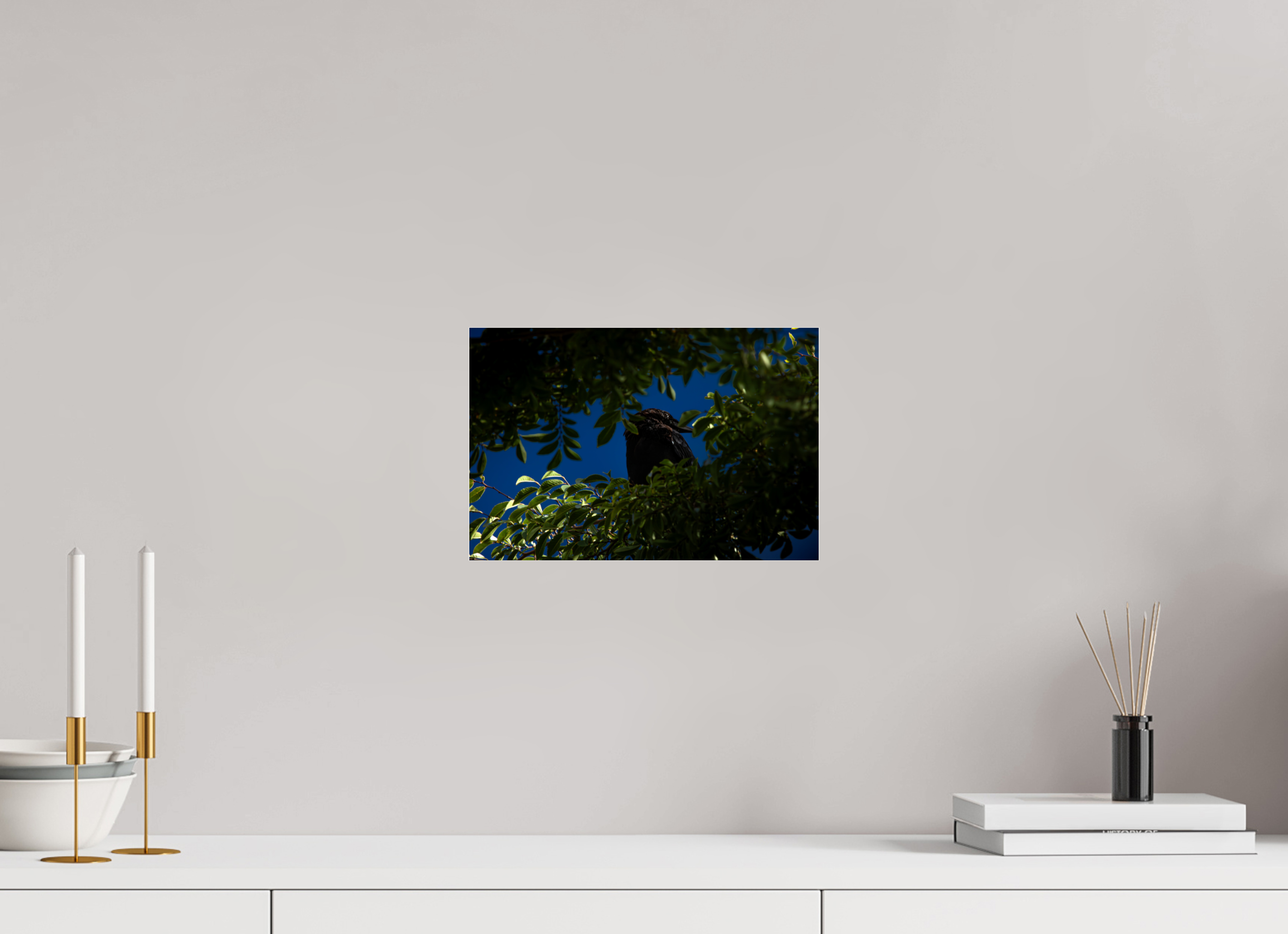 12 x 8″, Photo Print Under Acrylic Glass Common Raven Hidden in Tree Foliage West Jordan Utah