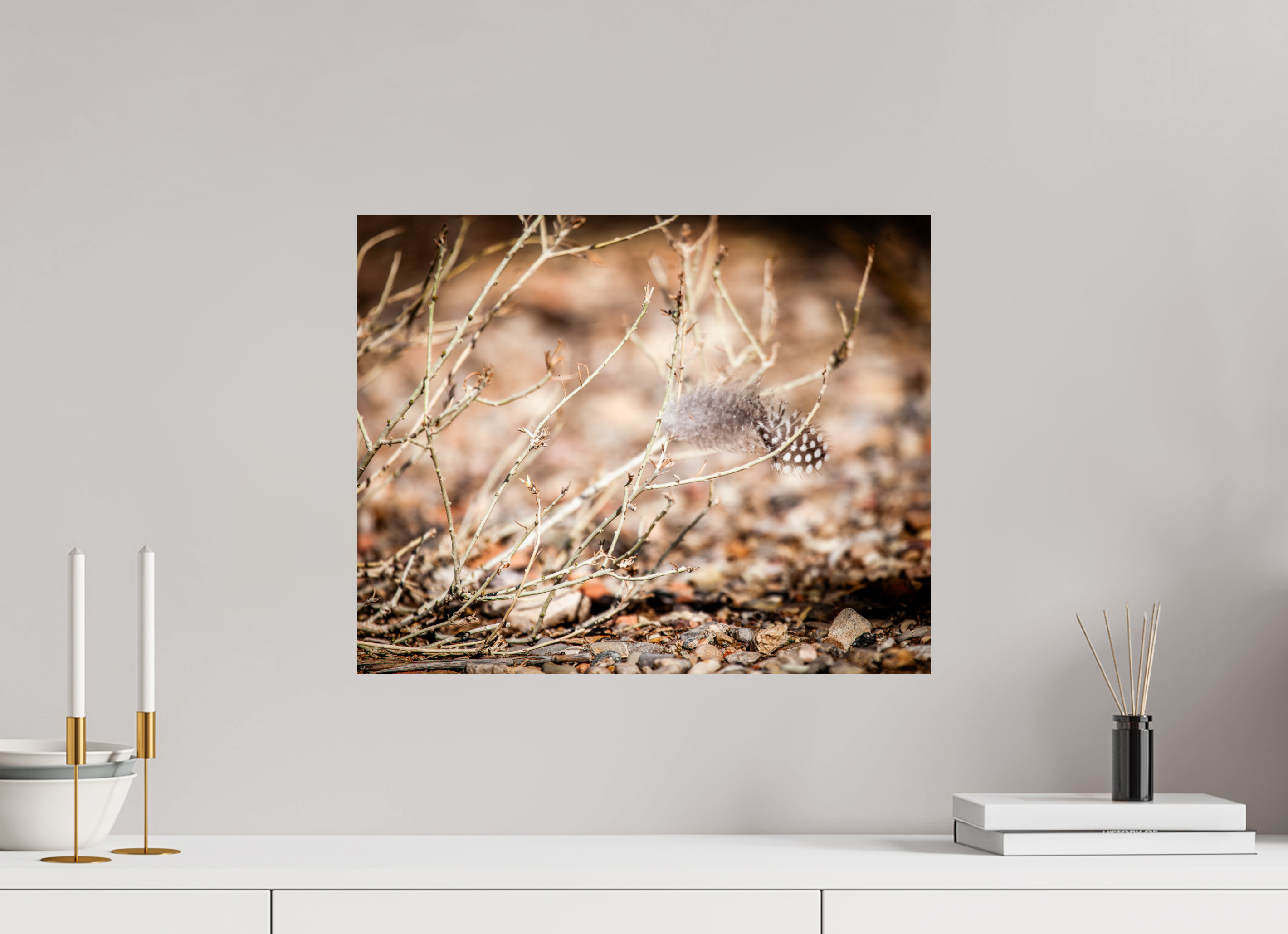 20 x 16″, Photo Print On Fuji Crystal DP II Spotted Towhee Feather on Winter Shrub Salt Lake City