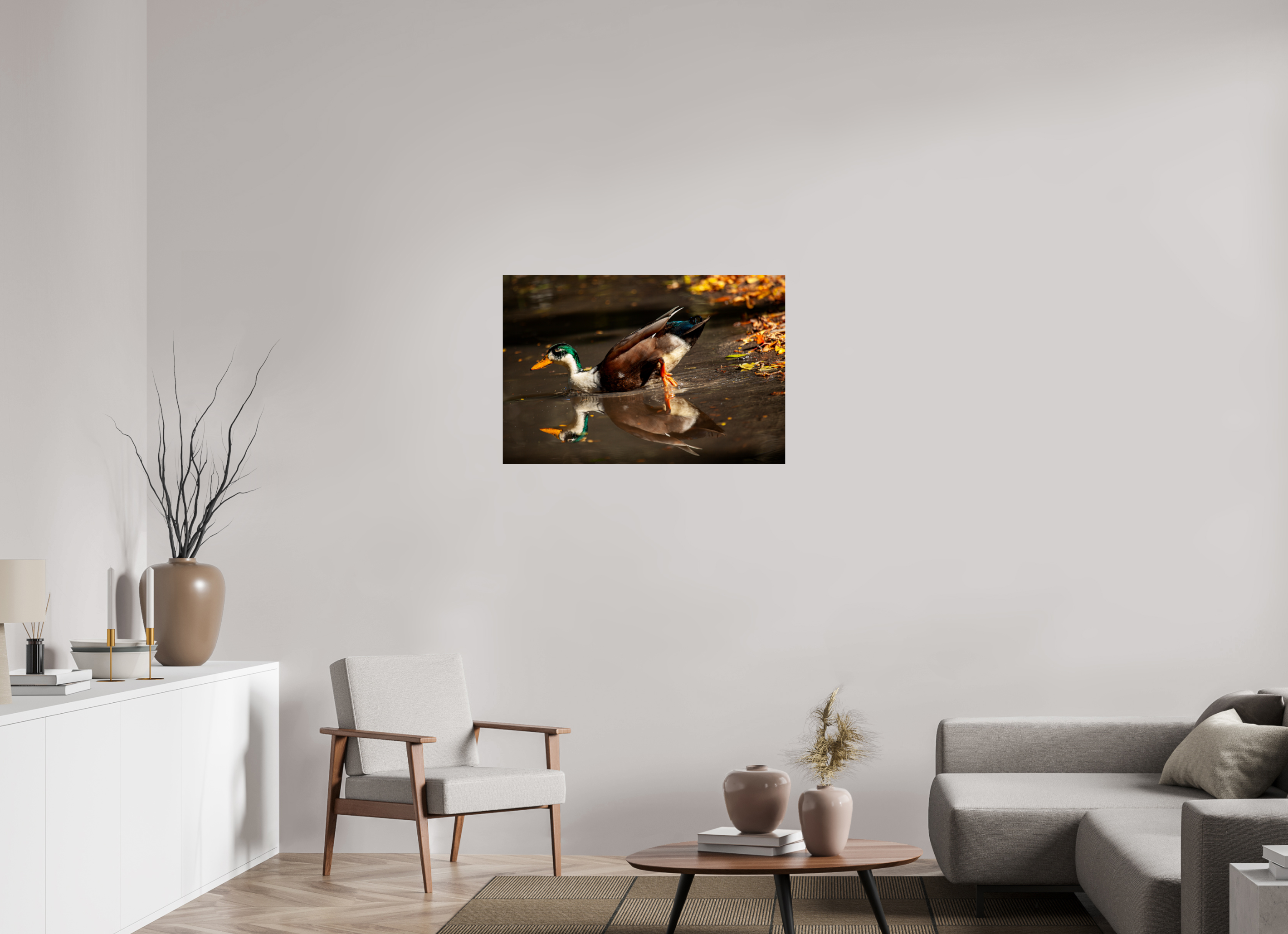 36 x 24″, Photo Print Under Acrylic Glass Mallard Duck Magic