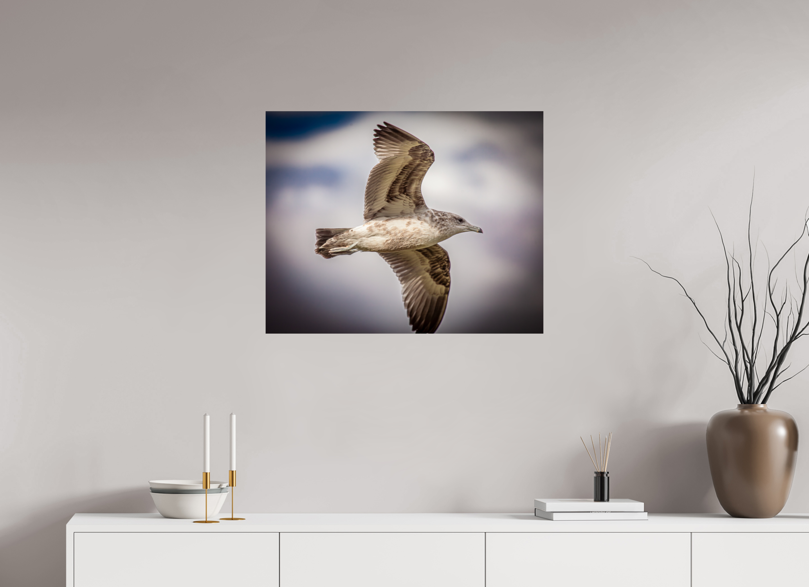 30 x 24″, Photo Print On Fuji Crystal DP II Juvenile California Gull in Flight Salt Lake City