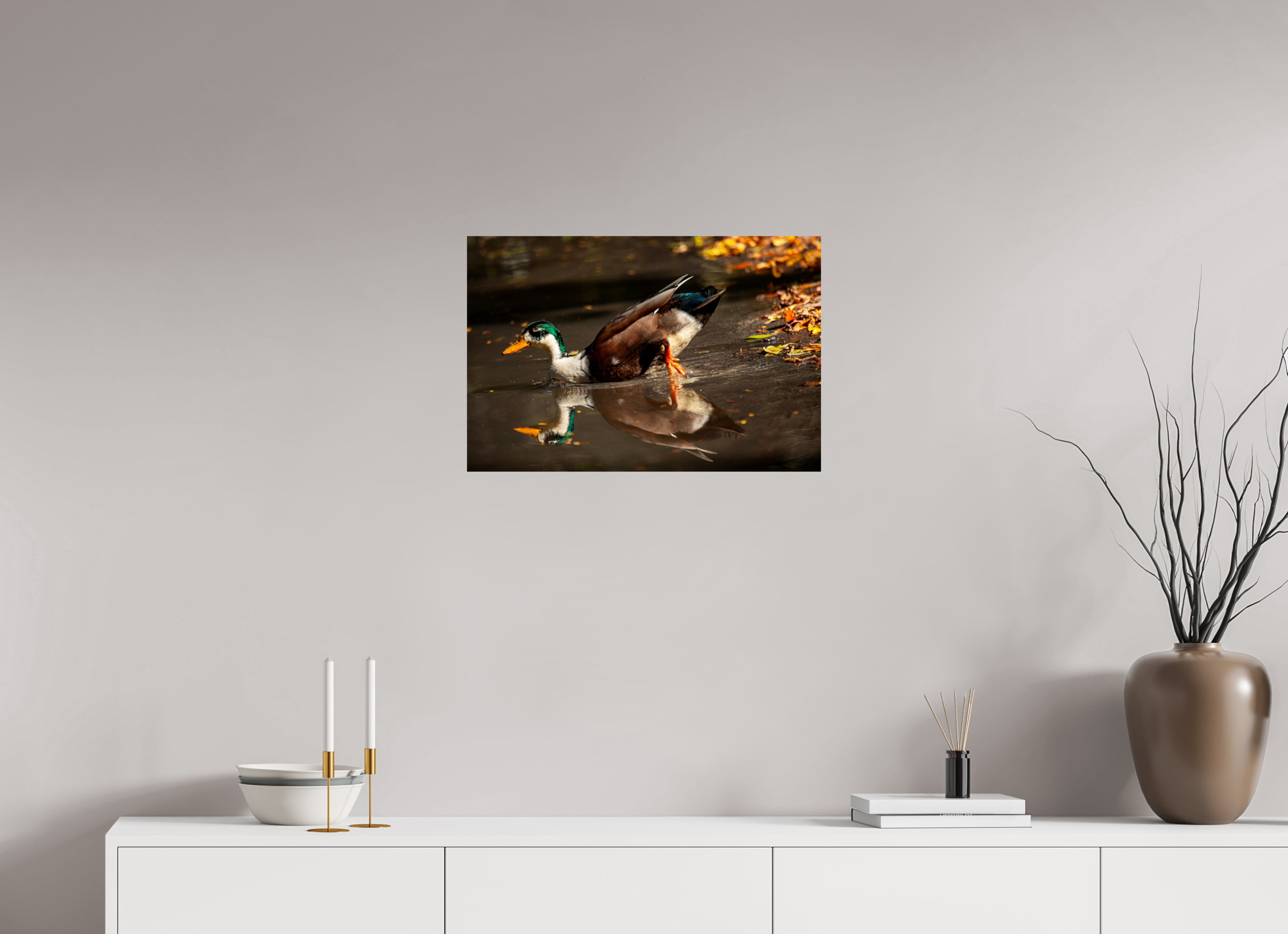 24 x 16″, Photo Print On Fuji Crystal DP II Mallard Duck Magic