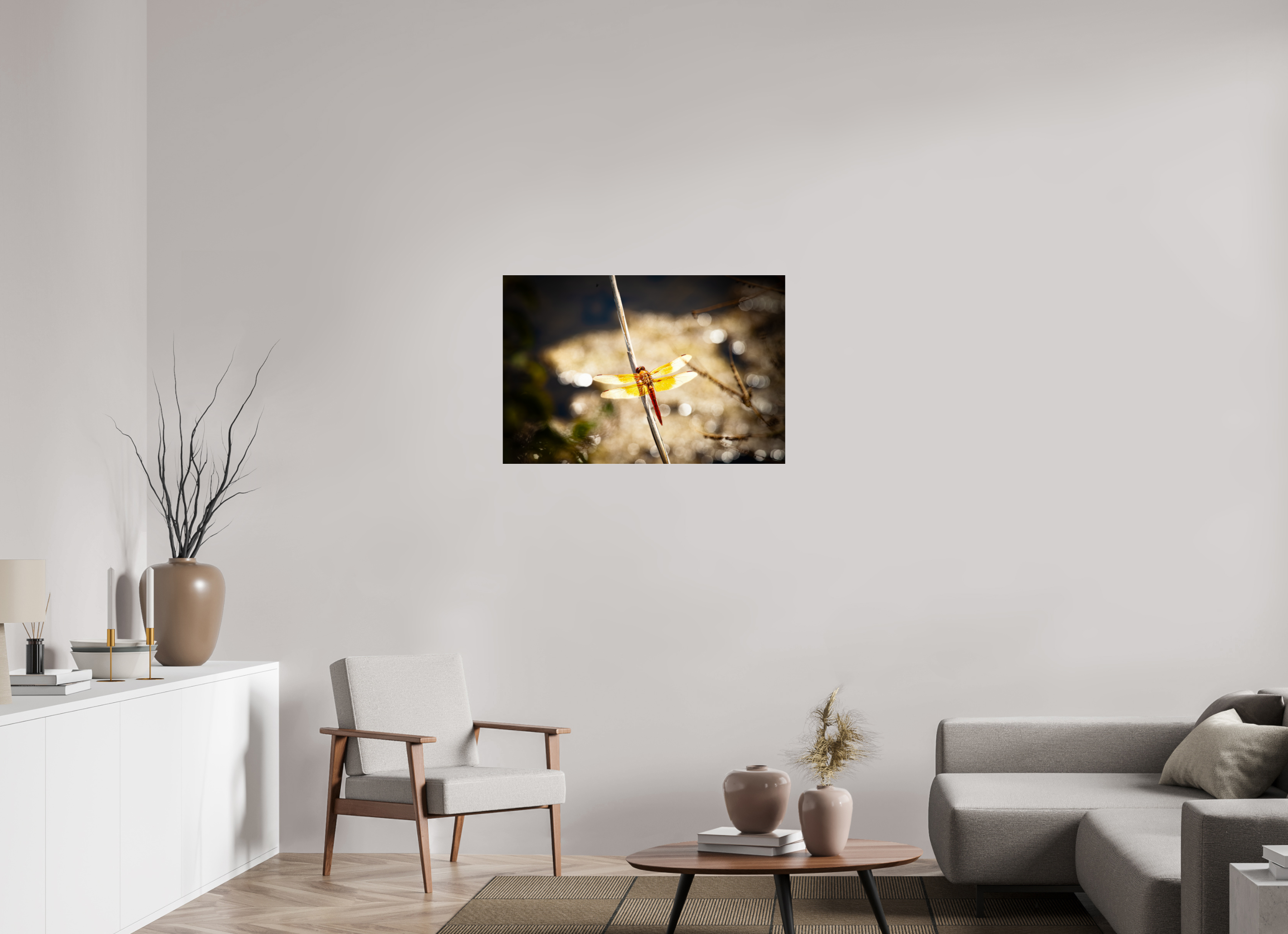 36 x 24″, Photo Print Under Acrylic Glass Flame Skimmer Dragonfly Backlit Salt Lake City Utah
