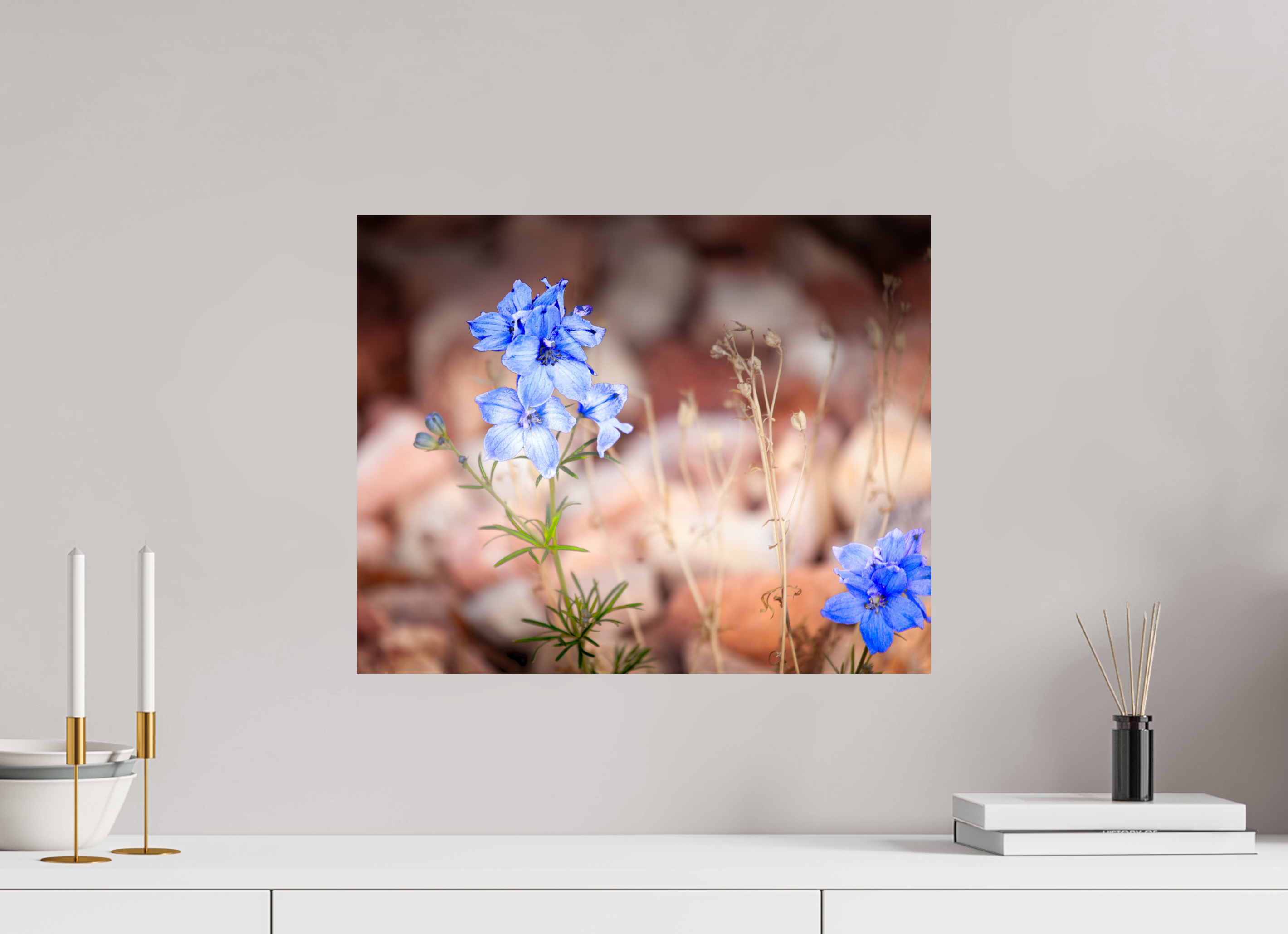 20 x 16″, Photo Print On Fuji Crystal DP II Blue Delphinium Larkspur Wildflowers Salt Lake City