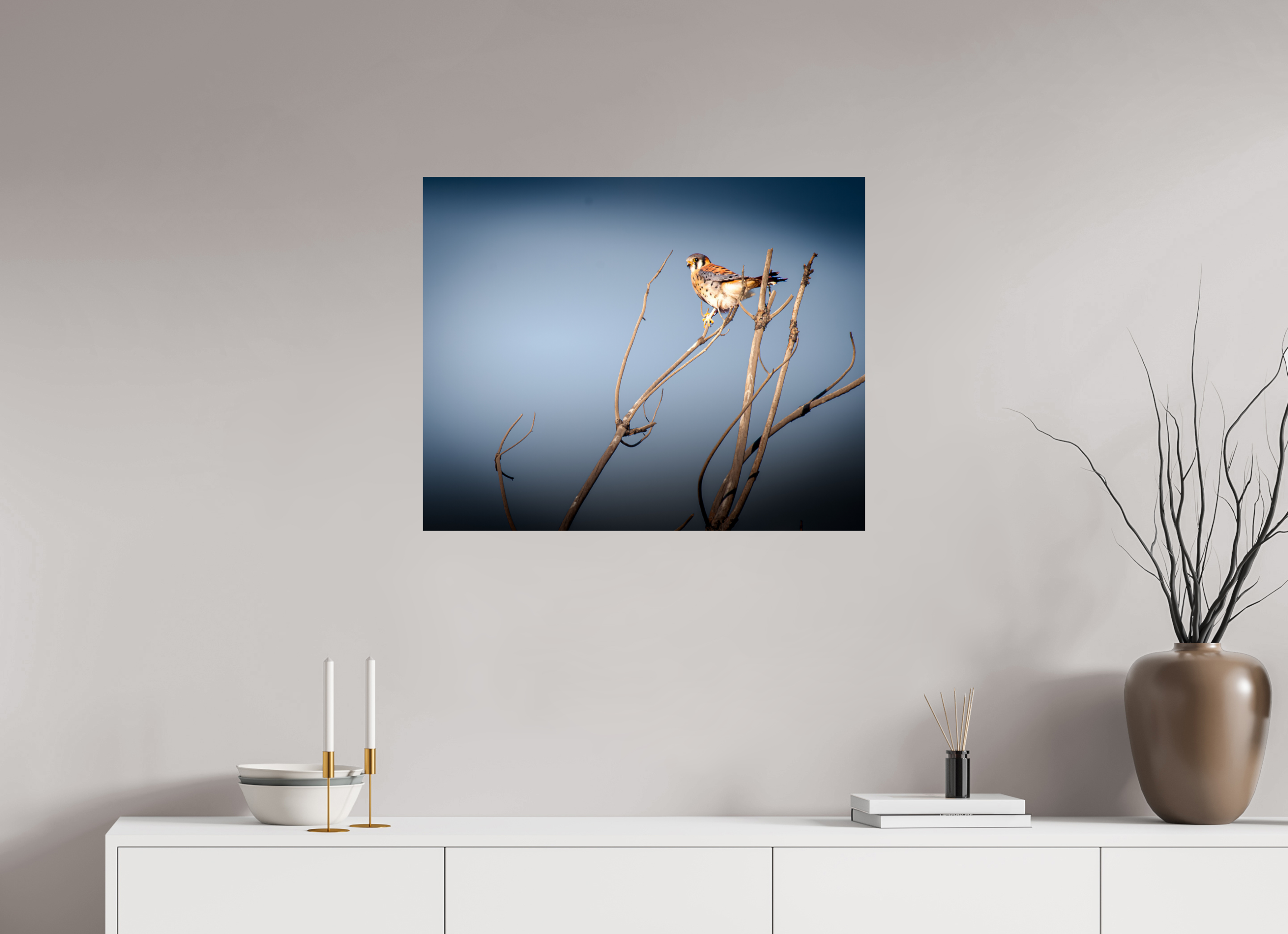 30 x 24″, Photo Print On Fuji Crystal DP II Male American Kestrel Perched in Salt Lake City Utah