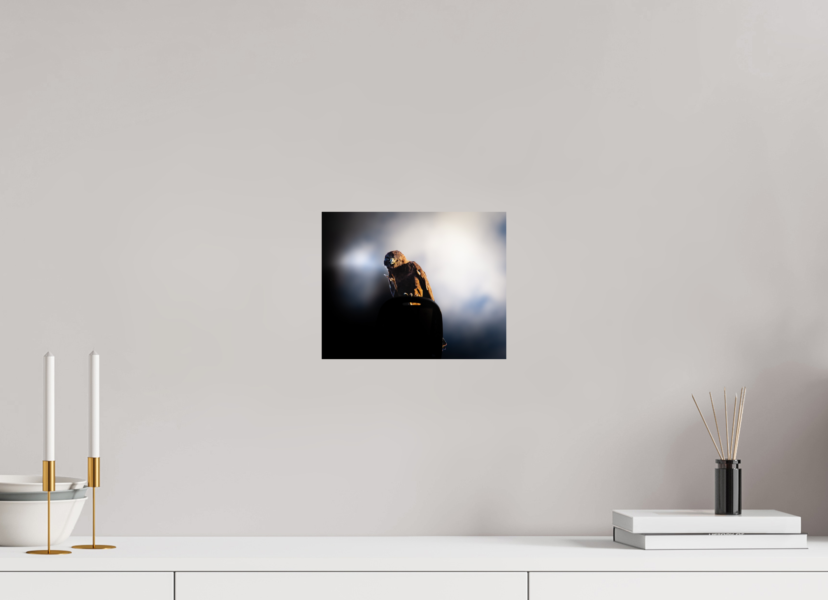 10 x 8″, Photo Print On Fuji Crystal DP II Majestic Dark Hawk Perched on an Urban Street Light at Golden Hour