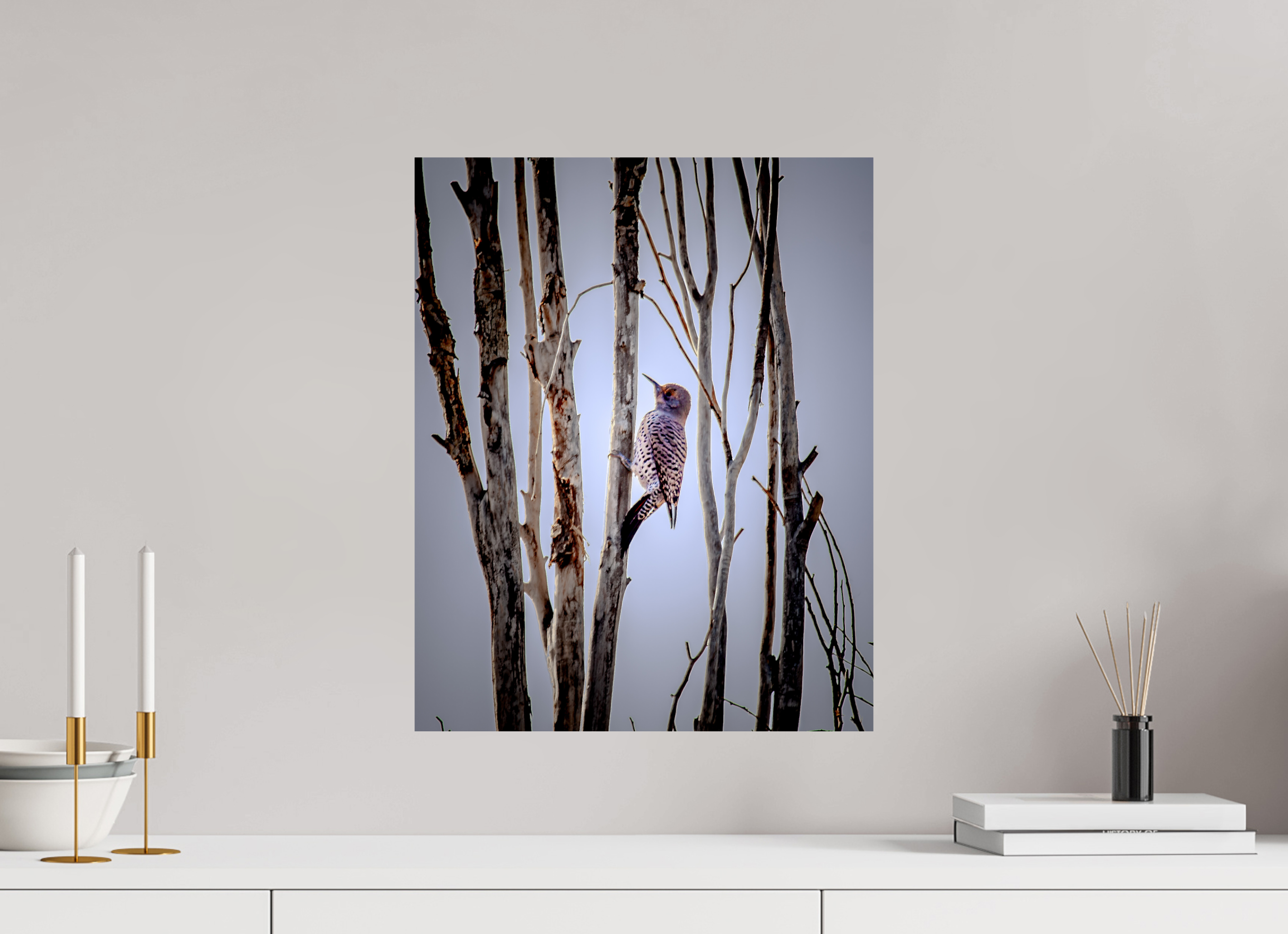16 x 20″, Photo Print On Fuji Crystal DP II Northern Flicker on Dead Tree Salt Lake City Utah