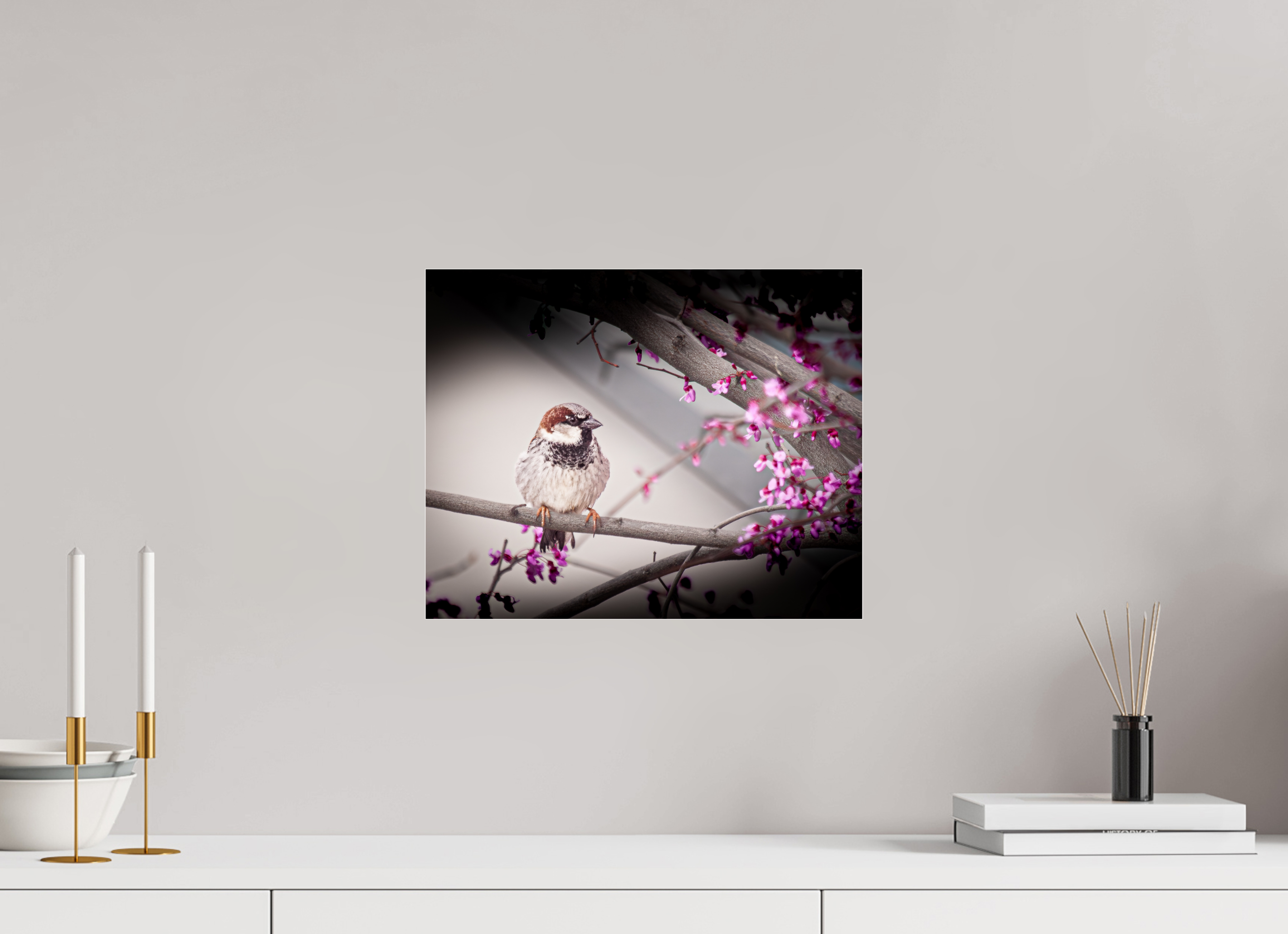 15 x 12″, Photo Print Under Acrylic Glass House Sparrow on Spring Redbud Branch Salt Lake City