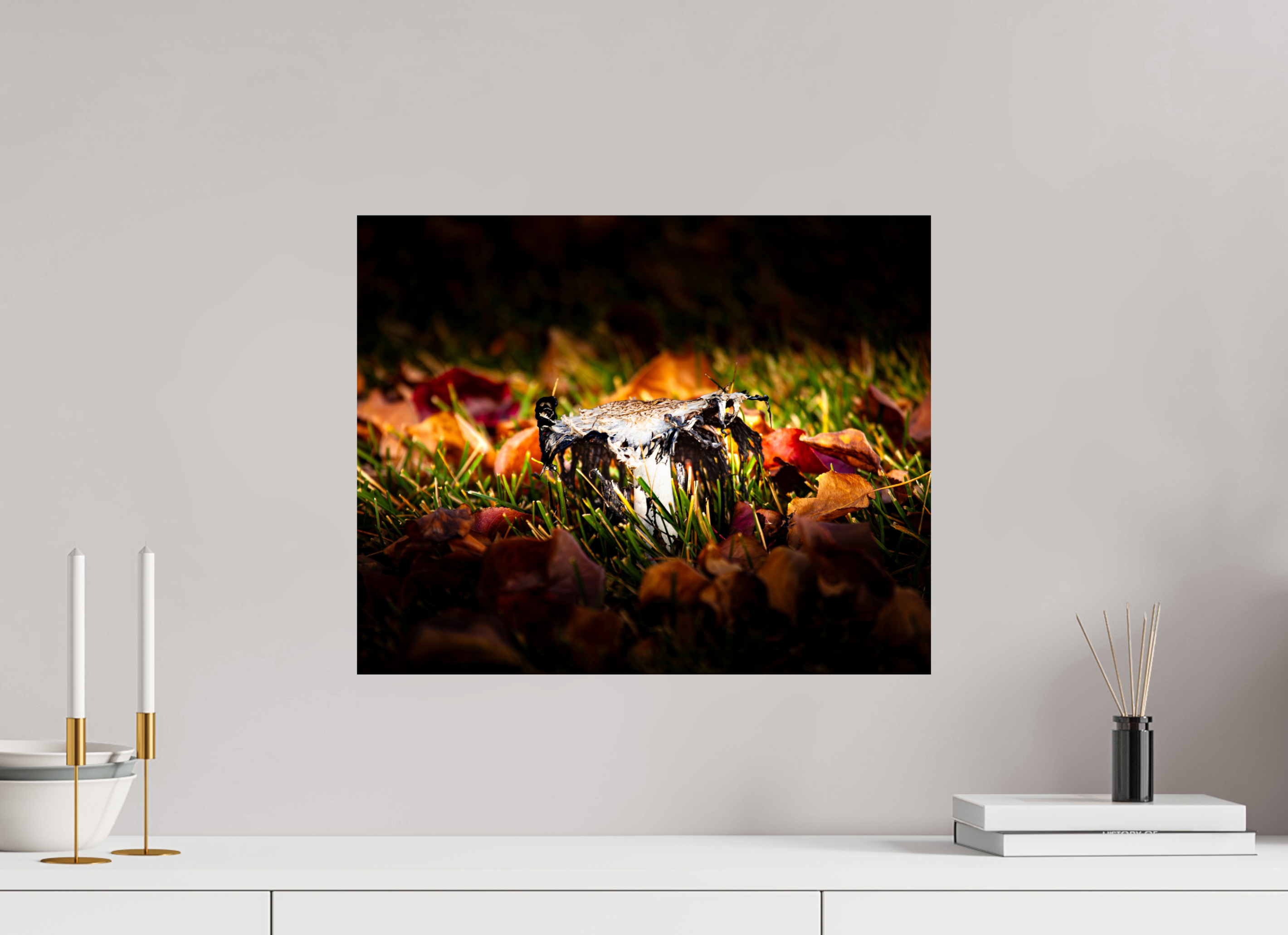 20 x 16″, Photo Print On Fuji Crystal DP II Shaggy Mane Mushroom Decaying in Autumn Leaves SLC
