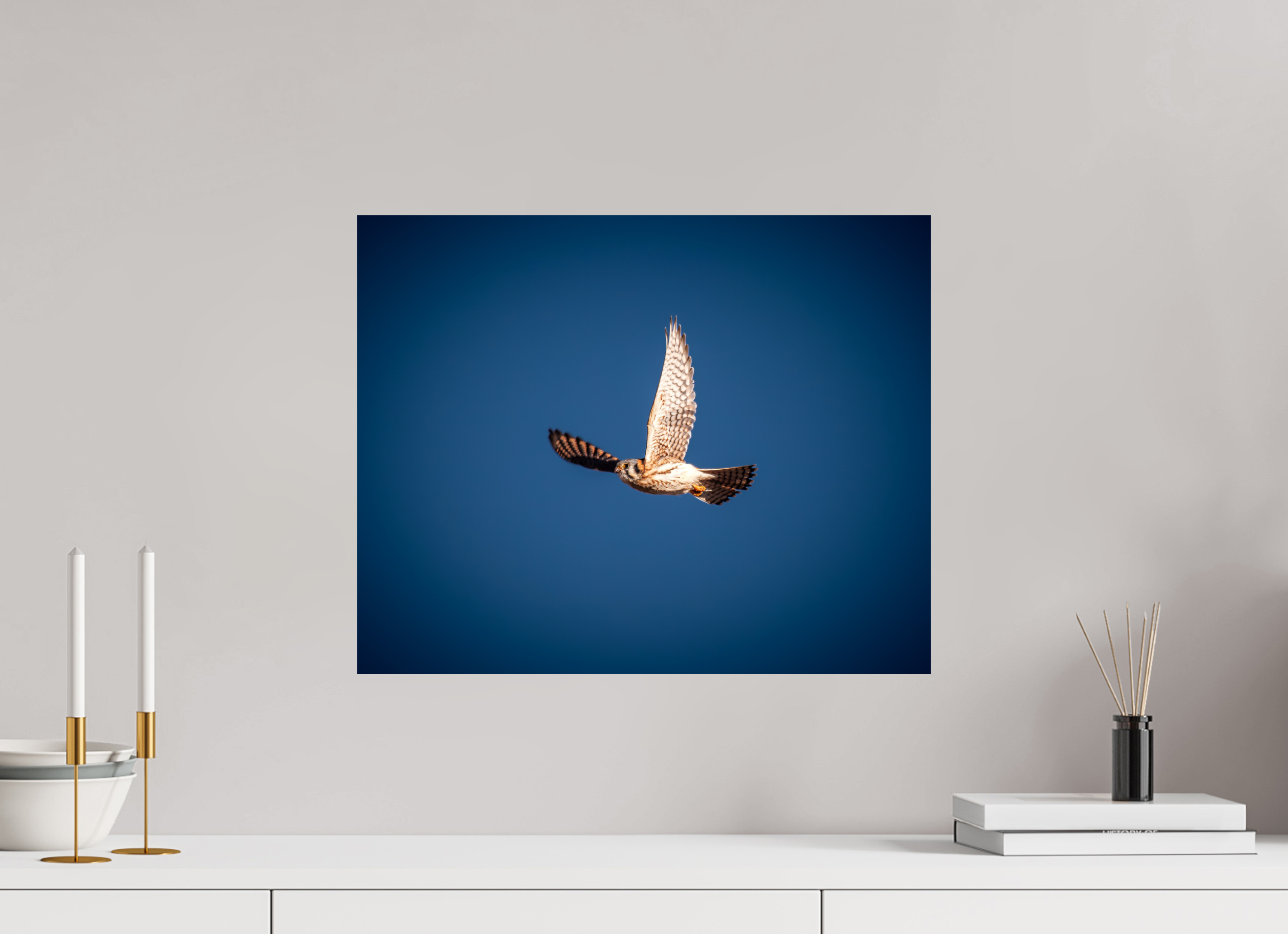 20 x 16″, Photo Print On Fuji Crystal DP II American Kestrel Soaring in Deep Blue Sky Salt Lake City