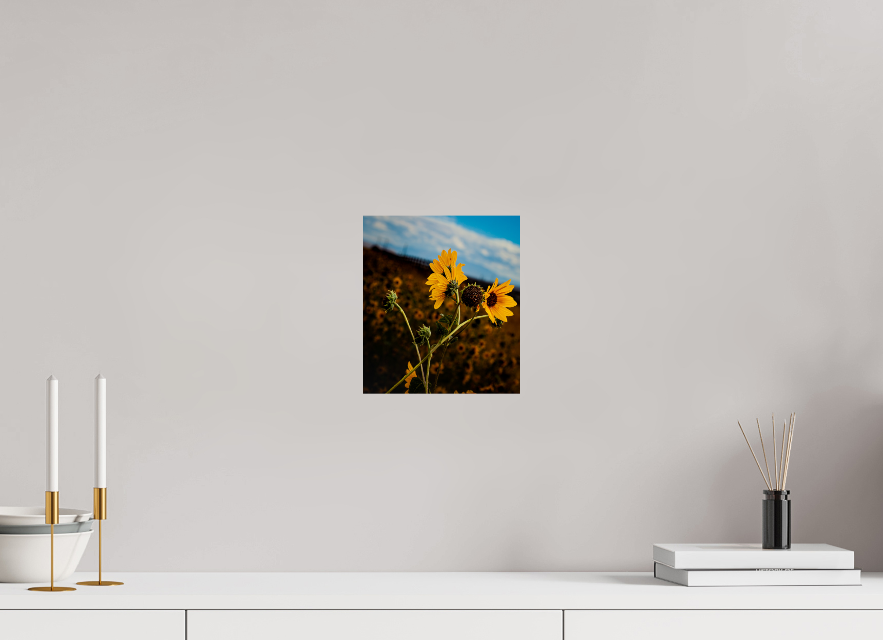 8 x 9.1″, Photo Print On Fuji Crystal DP II Wild Sunflowers