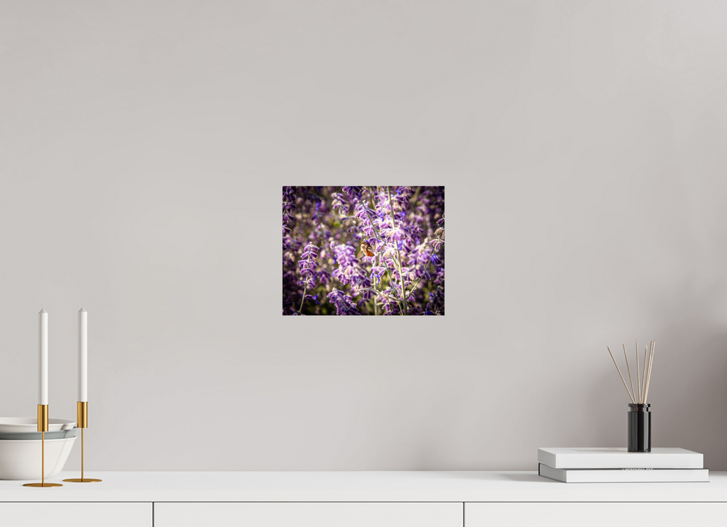 10 x 8″, Photo Print On Fuji Crystal DP II Pollinating Russian Sage Salt Lake City