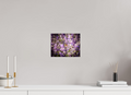 10 x 8″, Photo Print On Fuji Crystal DP II Pollinating Russian Sage Salt Lake City