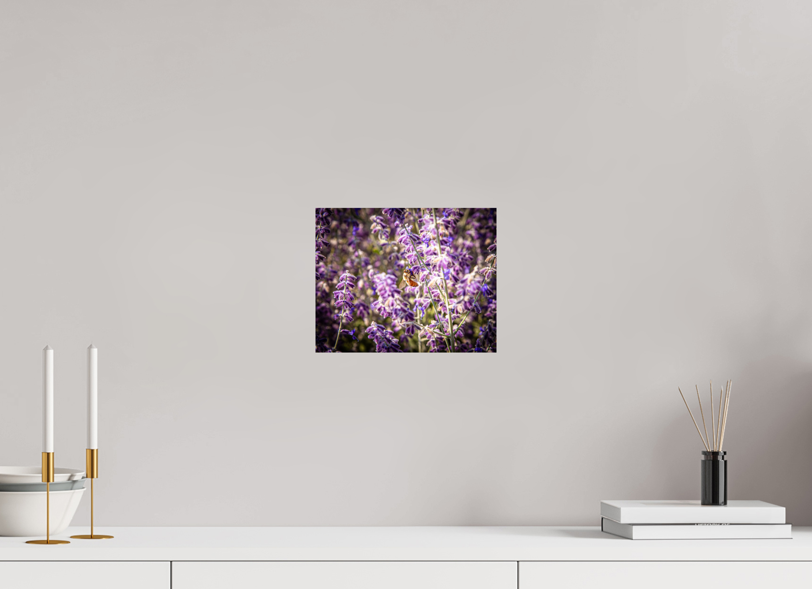 10 x 8″, Photo Print On Fuji Crystal DP II Pollinating Russian Sage Salt Lake City