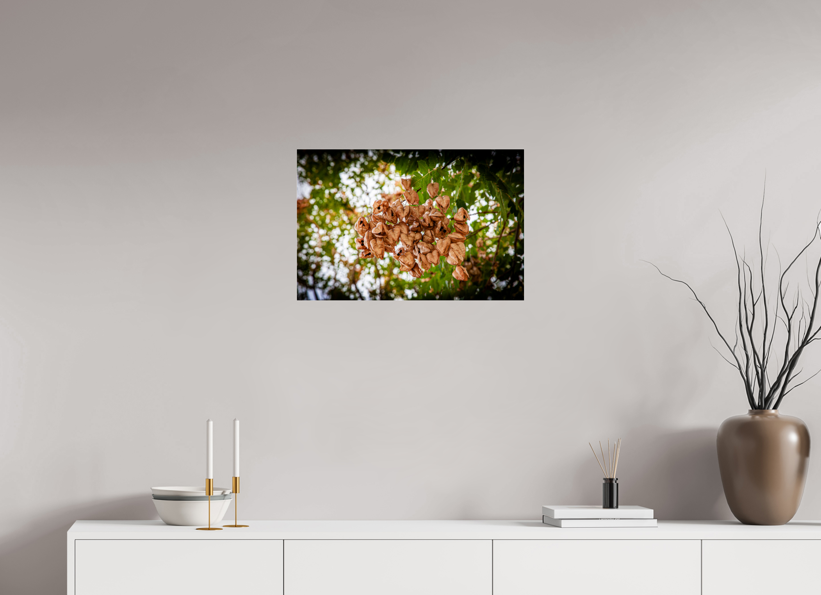 24 x 16″, Photo Print Under Acrylic Glass Sunlit Spider Web Golden Hour Salt Lake City