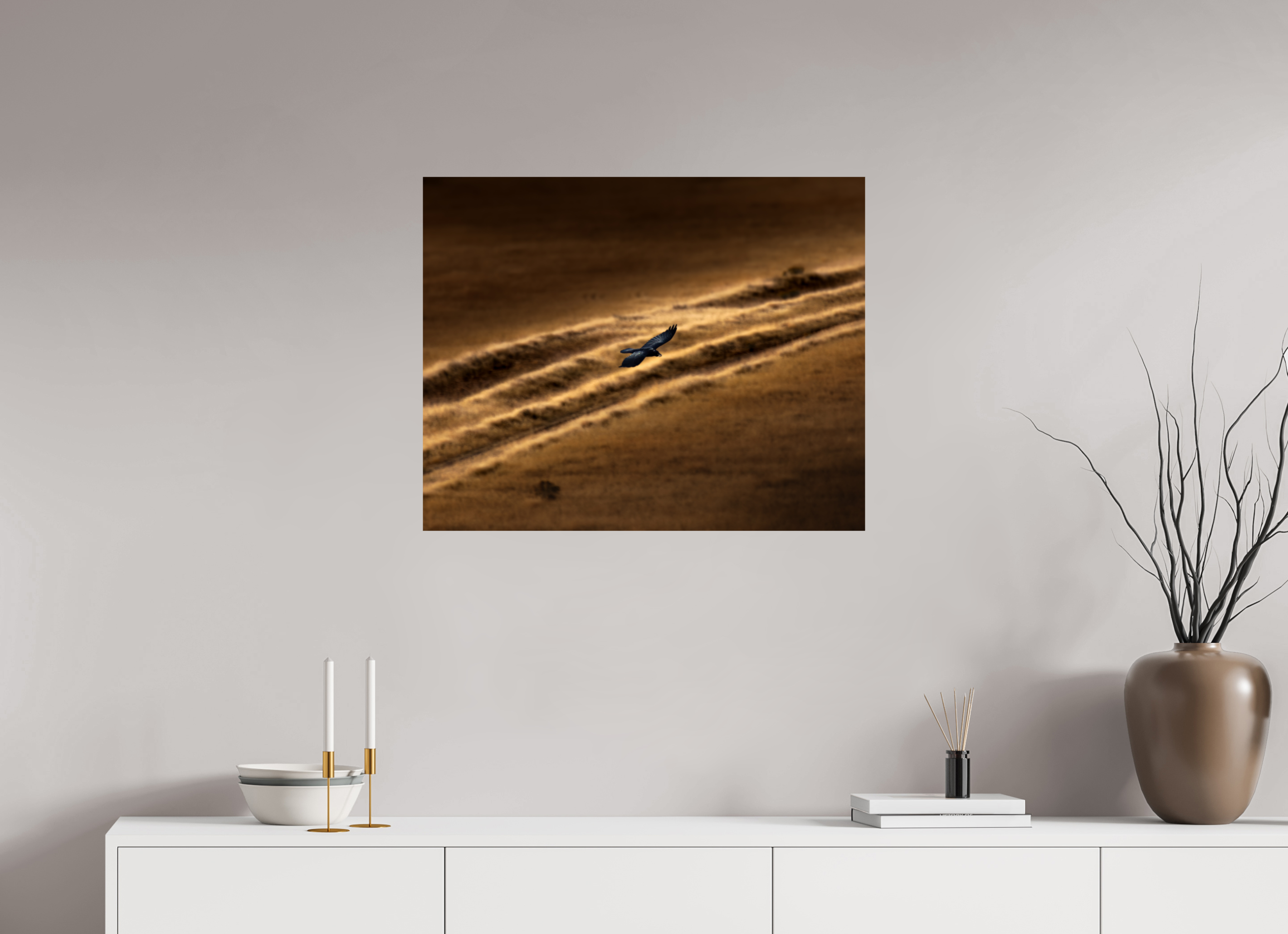 30 x 24″, Photo Print On Fuji Crystal DP II Common Raven Soaring Golden Hour Salt Lake City