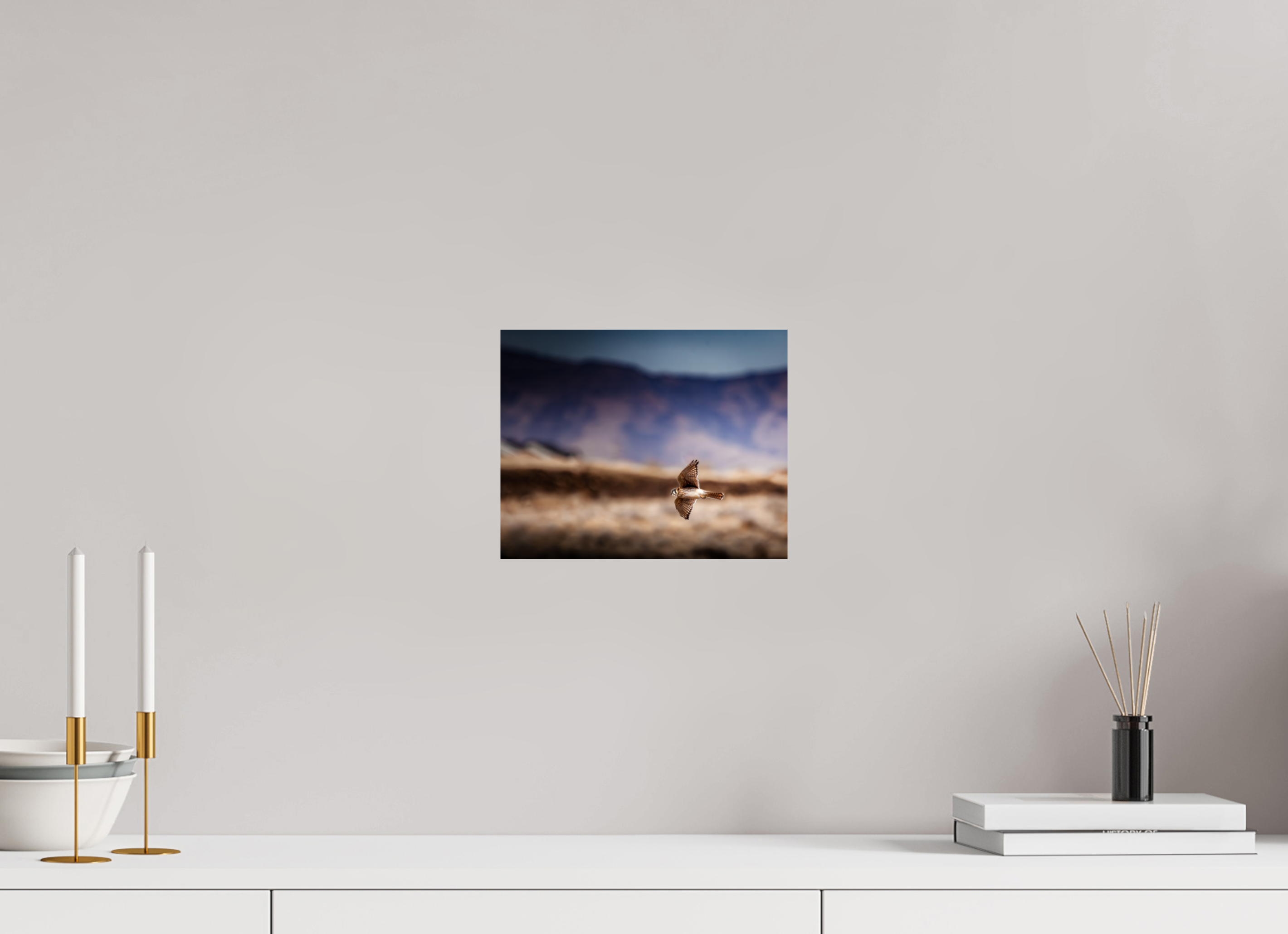 10 x 8″, Photo Print On Fuji Crystal DP II American Kestrel in Flight Salt Lake City Utah Foothills