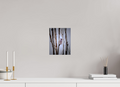 8 x 10″, Photo Print On Fuji Crystal DP II Northern Flicker on Dead Tree Salt Lake City Utah
