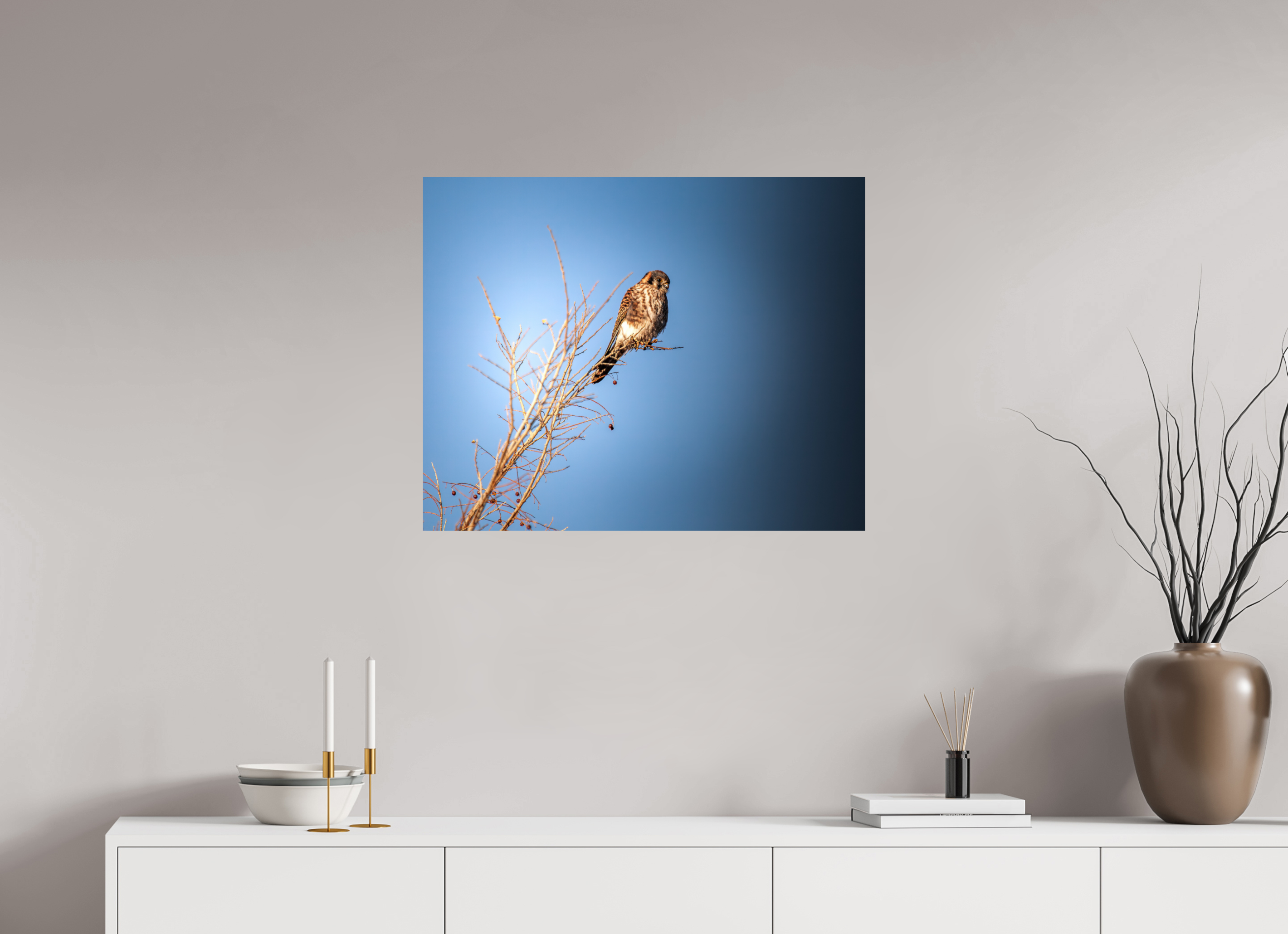 30 x 24″, Photo Print On Fuji Crystal DP II Female American Kestrel Perched in Salt Lake City