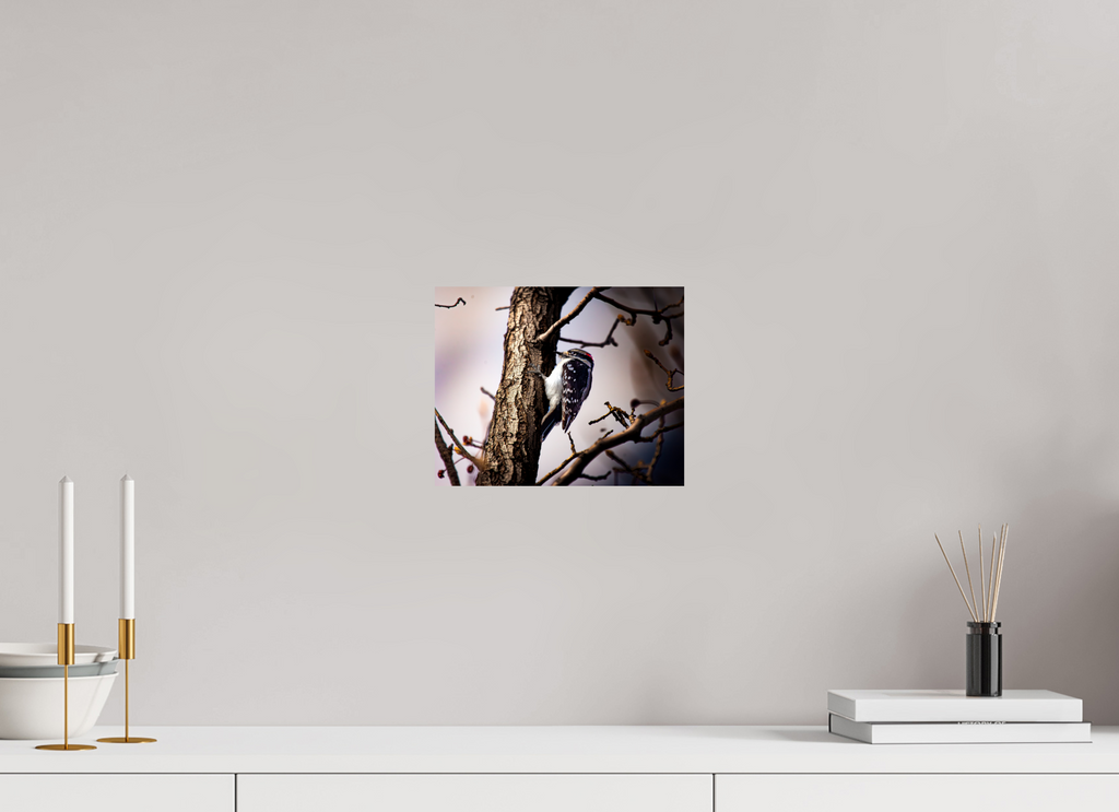 10 x 8″, Photo Print On Fuji Crystal DP II Male Downy Woodpecker on Tree Trunk Salt Lake City