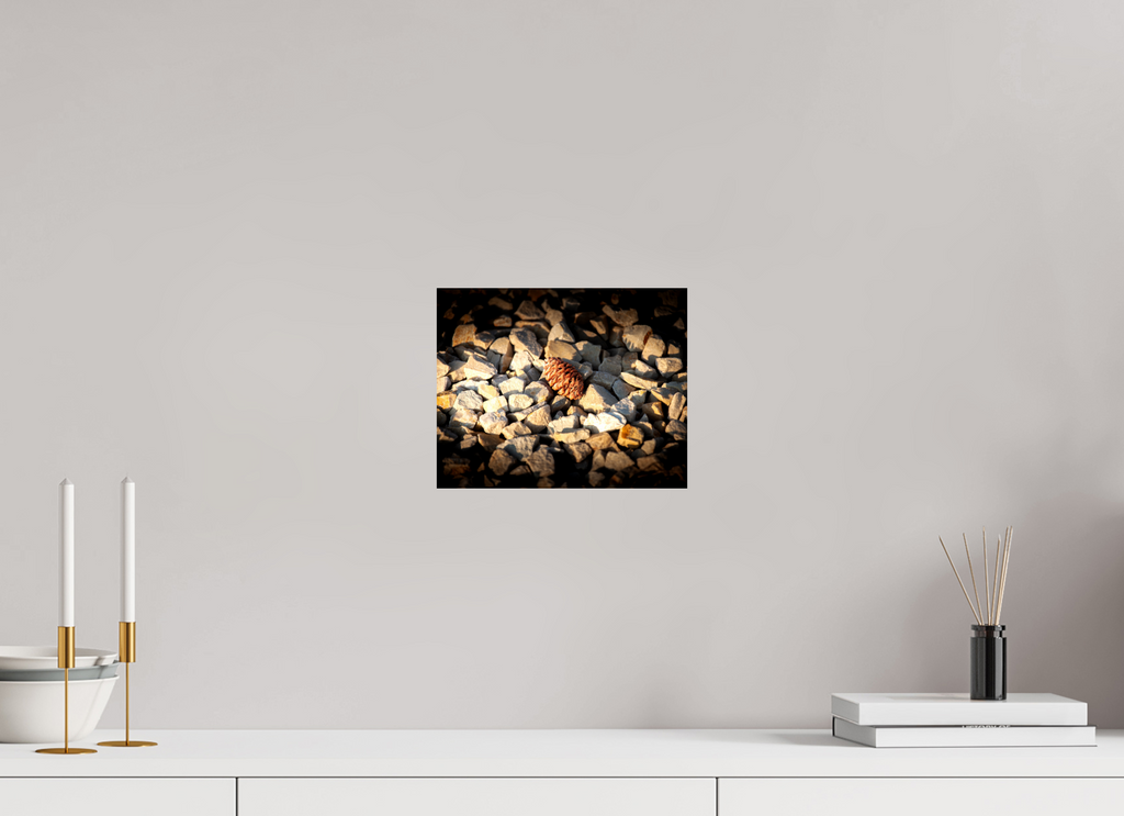 10 x 8″, Photo Print On Fuji Crystal DP II Pinecone on Jagged Rocks Salt Lake City Utah