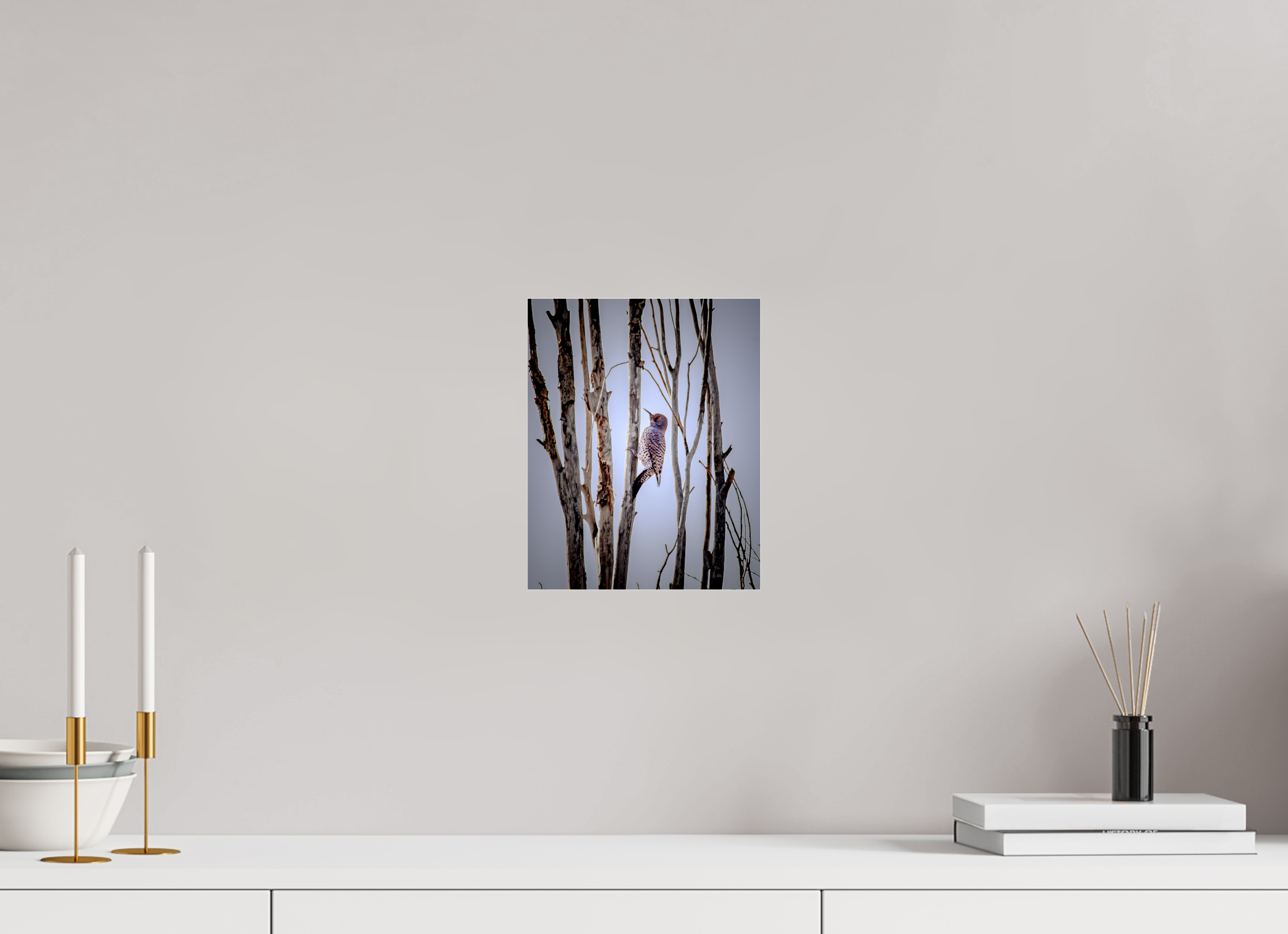 8 x 10″, Photo Print Under Acrylic Glass Northern Flicker on Dead Tree Salt Lake City Utah