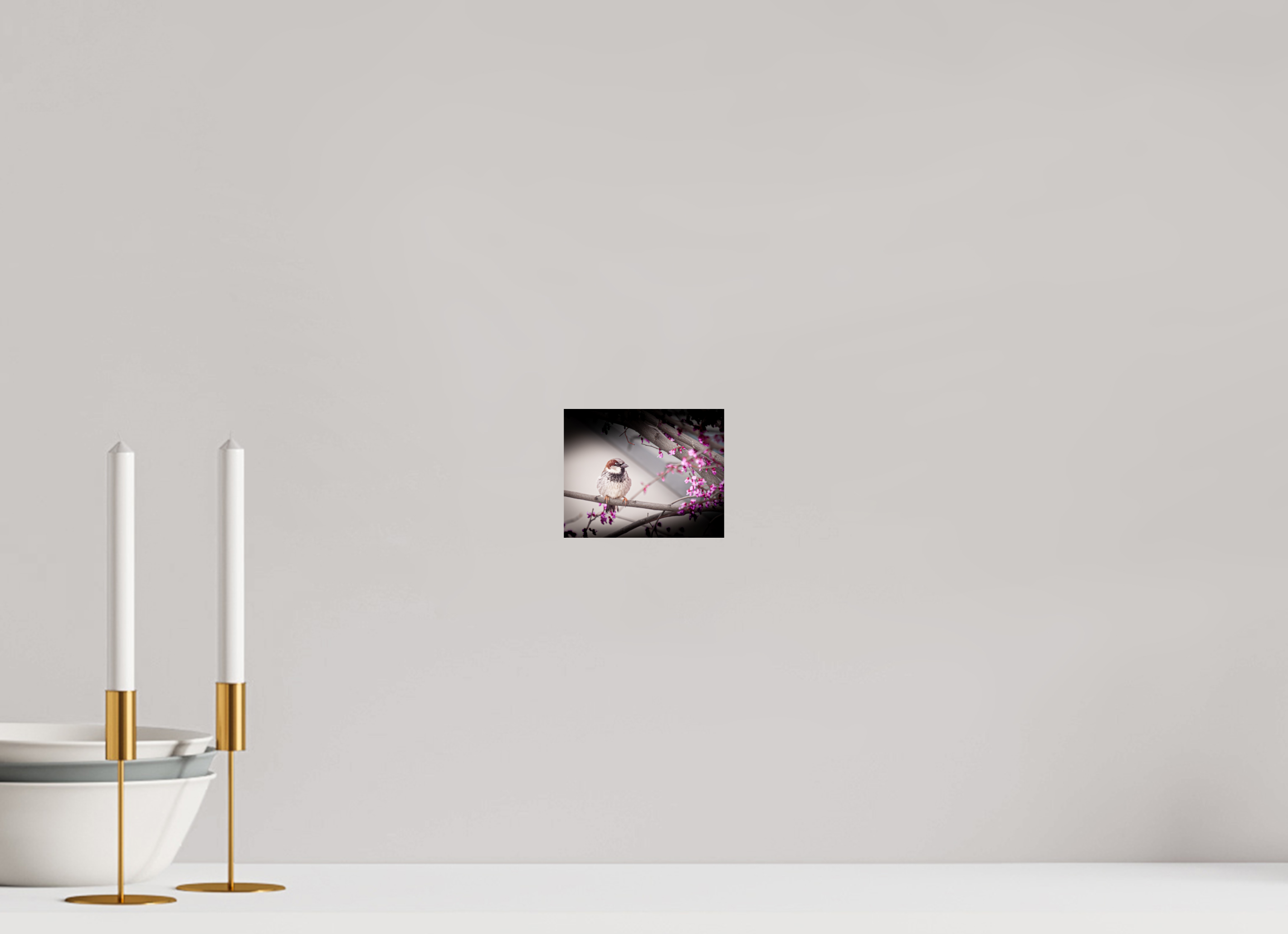 5 x 4″, Photo Print On Fuji Crystal DP II House Sparrow on Spring Redbud Branch Salt Lake City