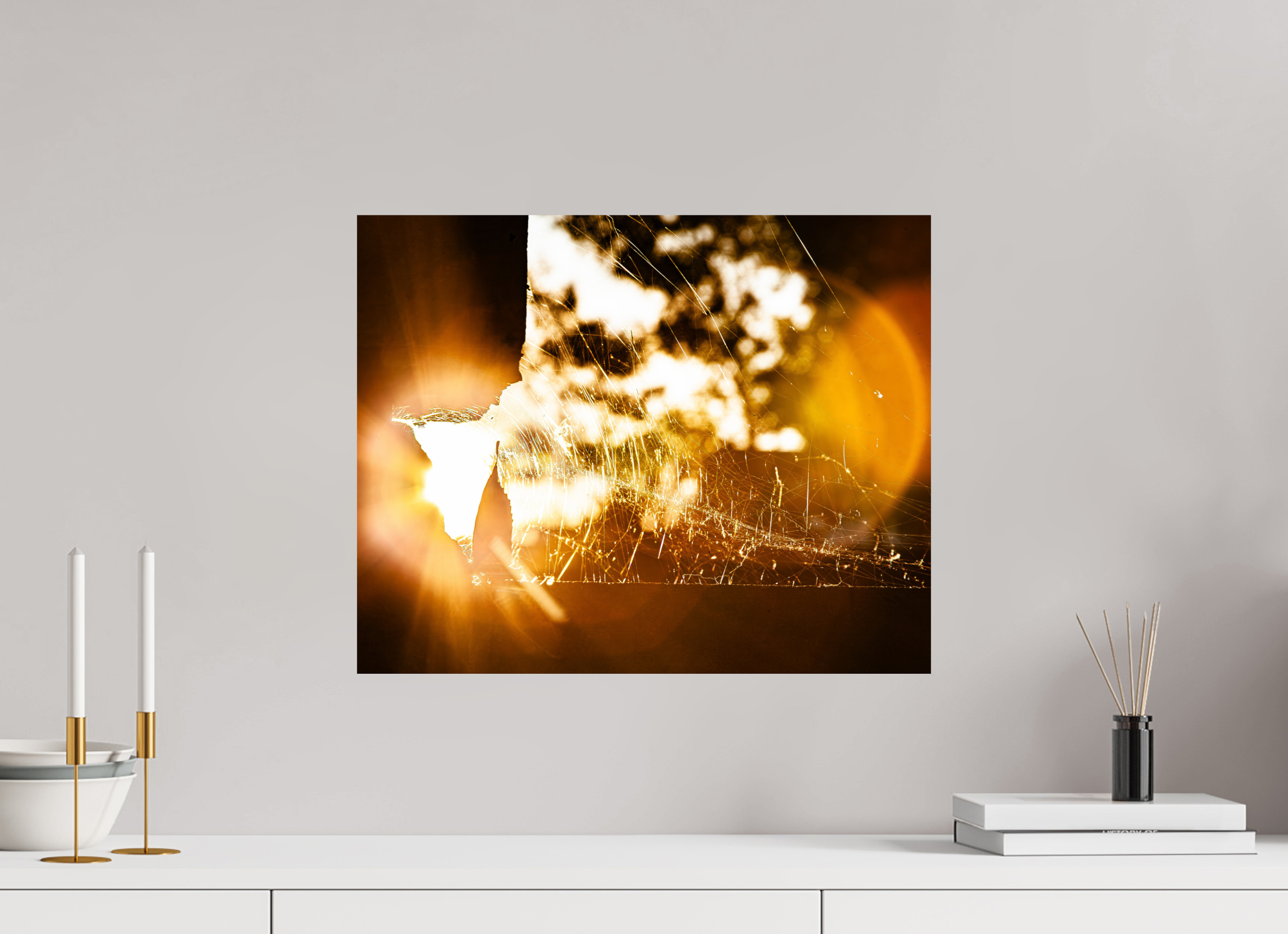20 x 16″, Photo Print On Fuji Crystal DP II Sunlit Spider Web Golden Hour Salt Lake City