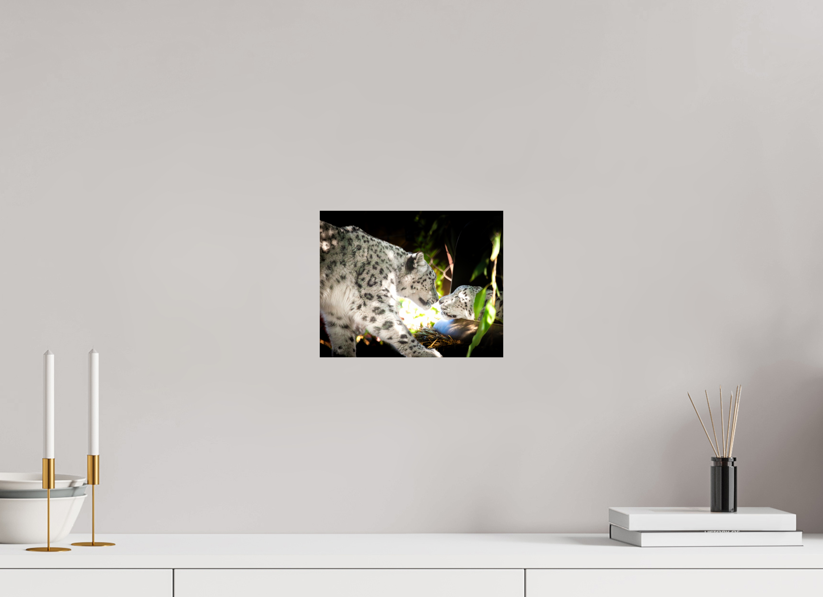 10 x 8″, Photo Print On Fuji Crystal DP II Leppard Kisses