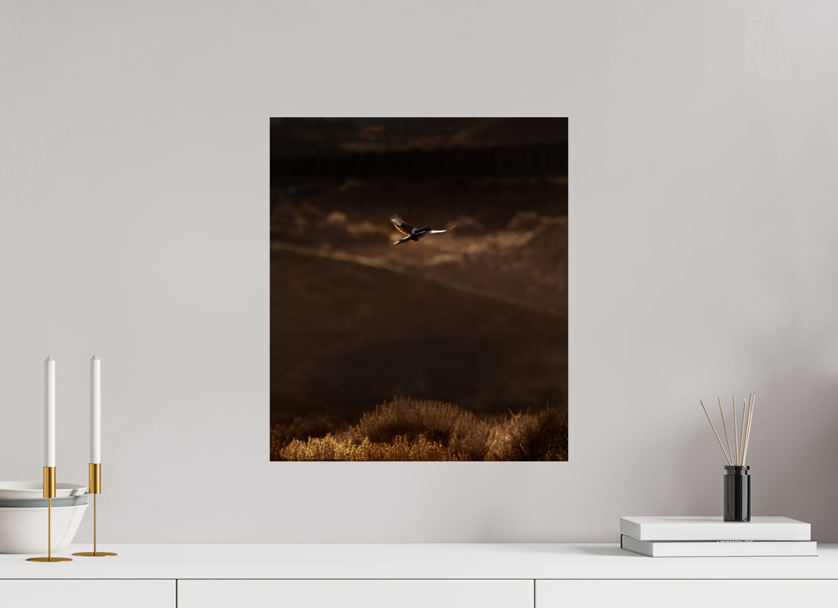 16 x 18.4″, Photo Print On Fuji Crystal DP II Black-billed Magpie Flight Golden Hour Salt Lake City