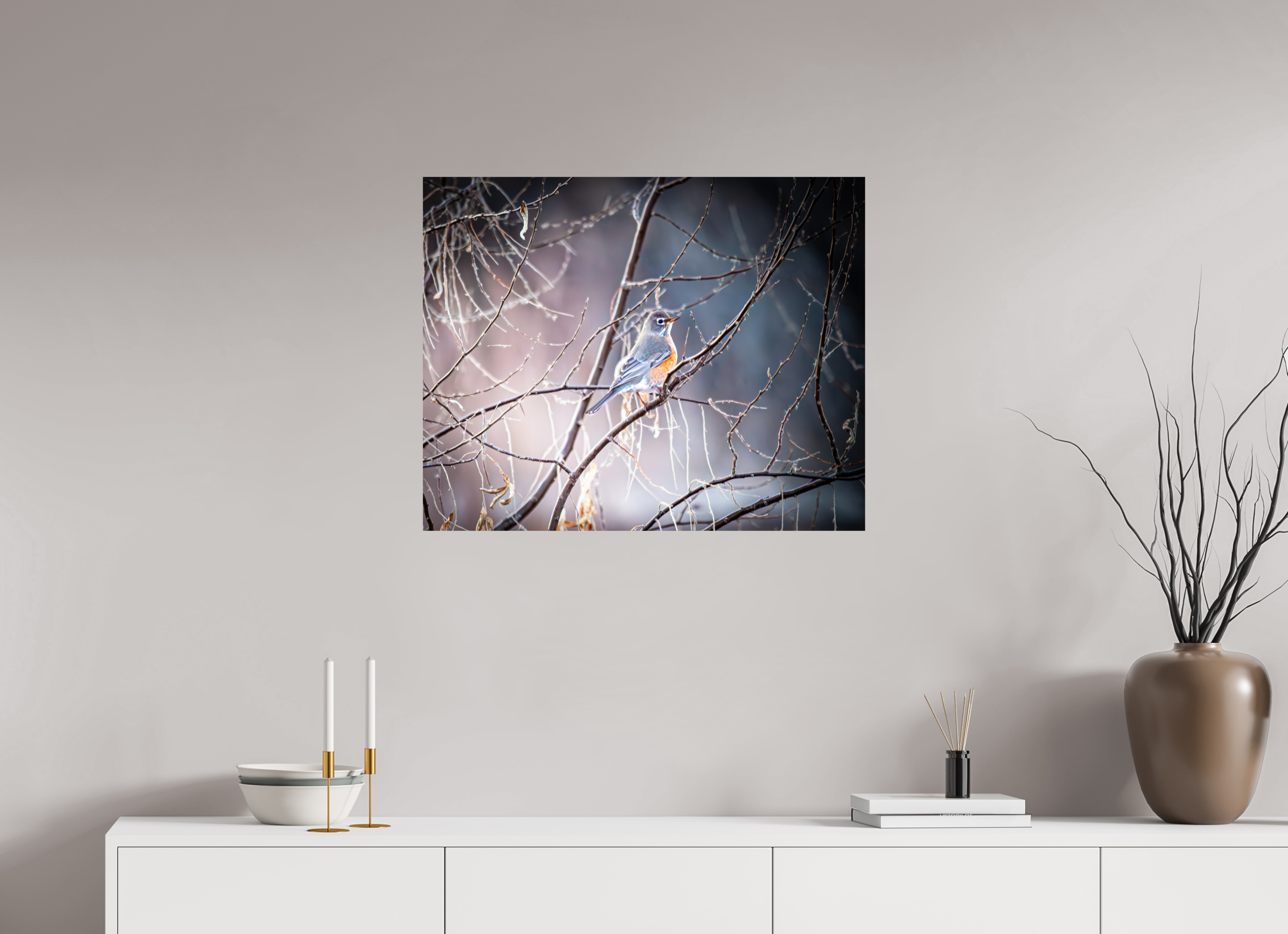 30 x 24″, Photo Print On Fuji Crystal DP II American Robin Perched in Winter Branches Salt Lake City