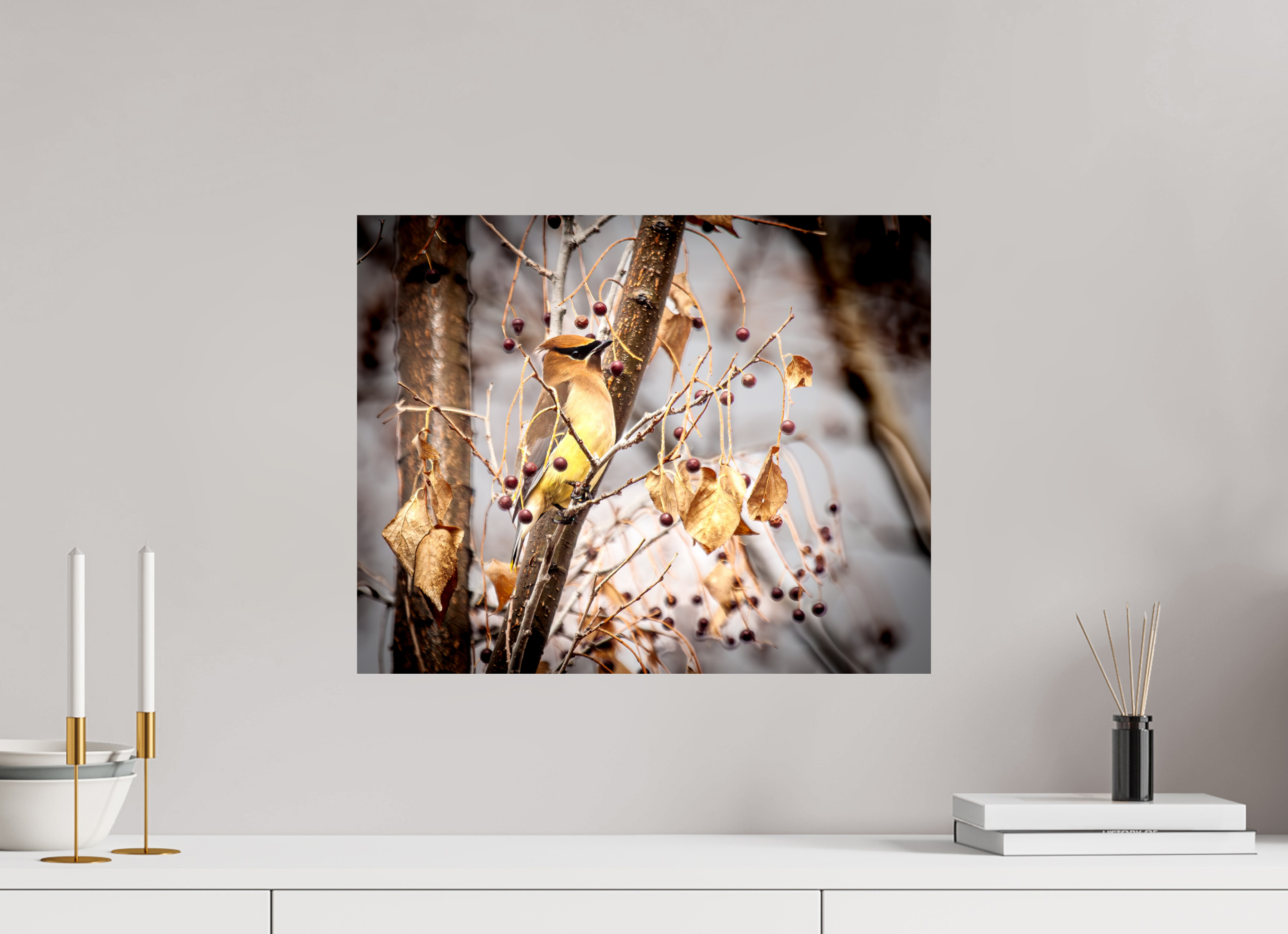 20 x 16″, Photo Print On Fuji Crystal DP II Cedar Waxwing Perched in Winter Berry Tree Salt Lake City