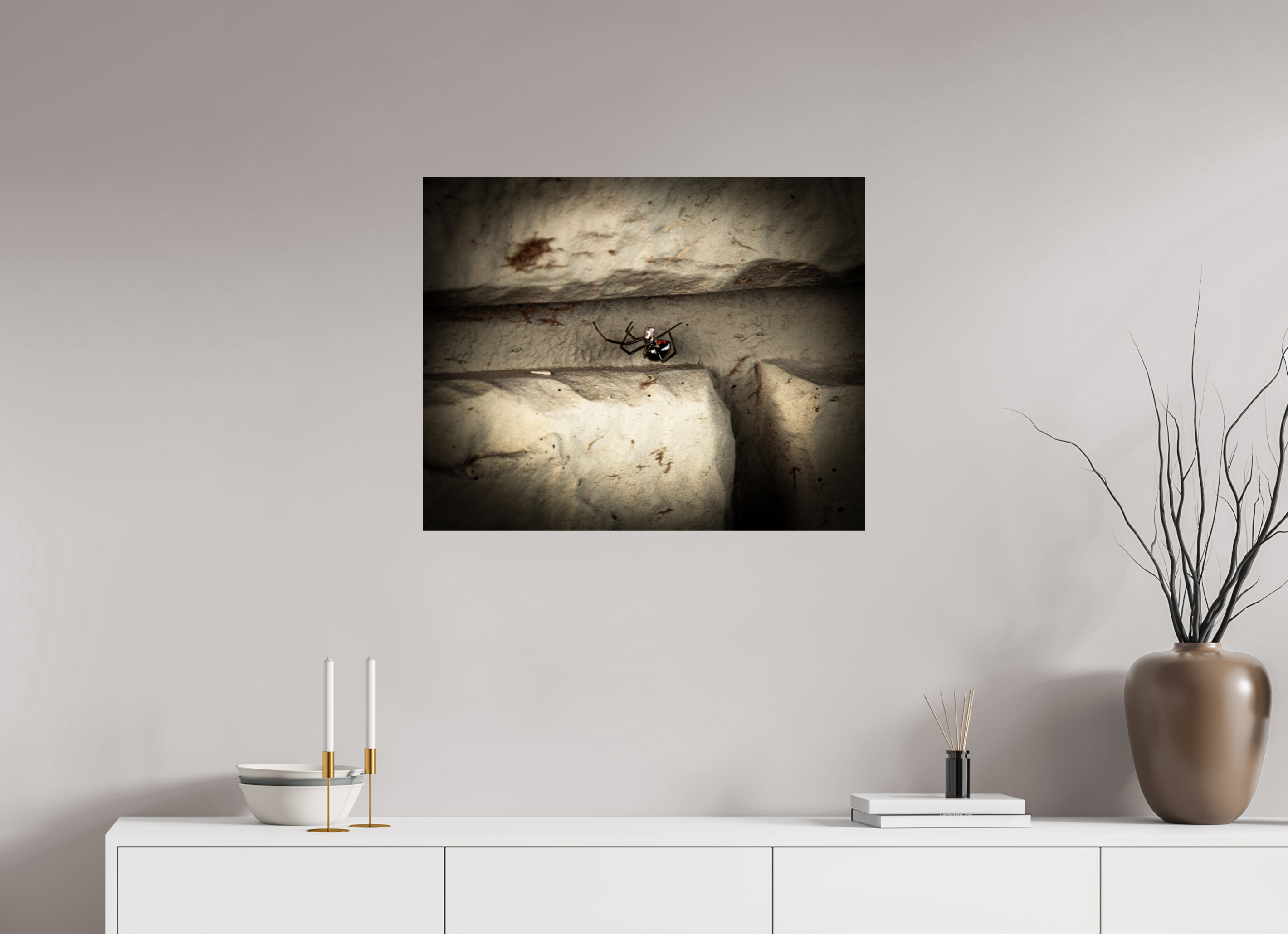 30 x 24″, Photo Print On Fuji Crystal DP II Black Widow Spider with Red Hourglass Salt Lake City Utah