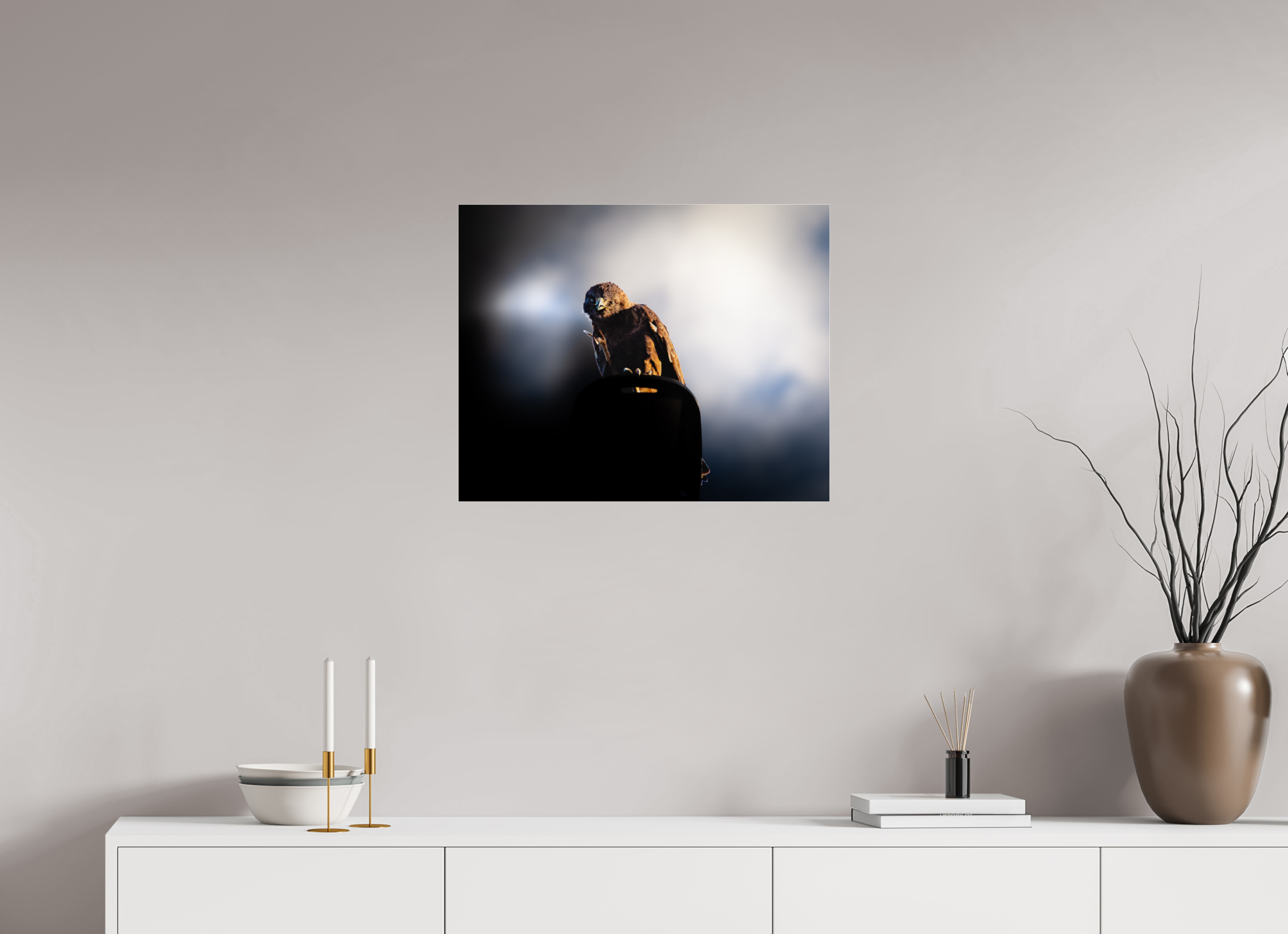 25 x 20″, Photo Print Under Acrylic Glass Majestic Dark Hawk Perched on an Urban Street Light at Golden Hour