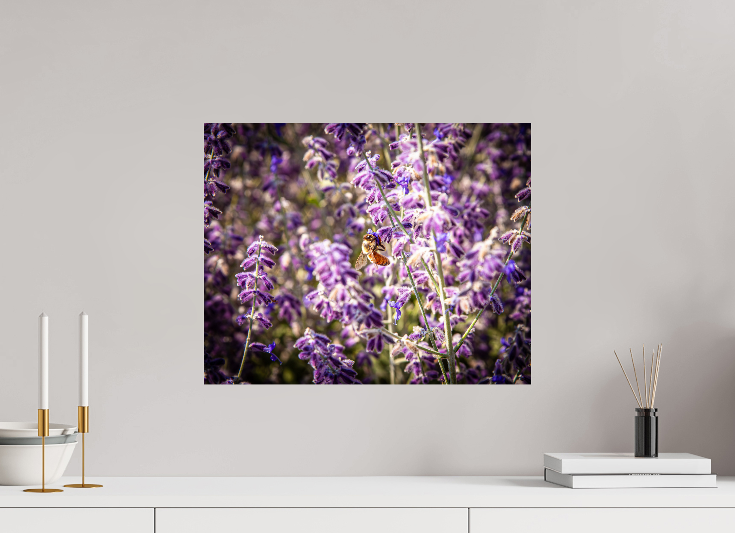 20 x 16″, Photo Print On Fuji Crystal DP II Pollinating Russian Sage Salt Lake City