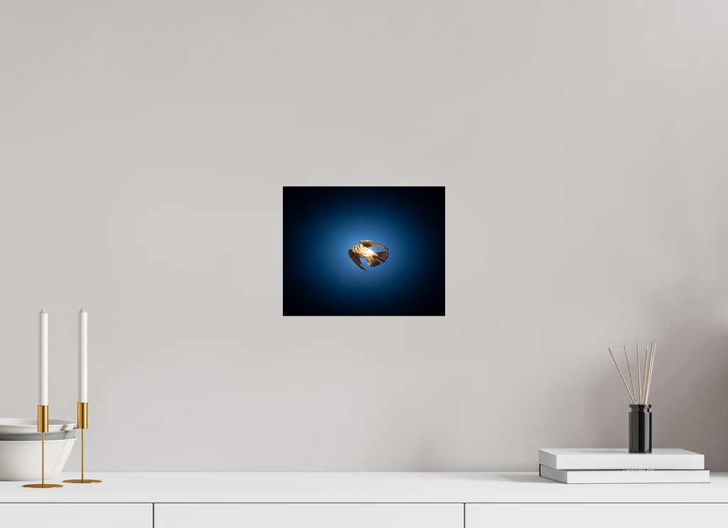 10 x 8″, Photo Print On Fuji Crystal DP II American Kestrel Soaring in Moody Blue Sky Salt Lake City
