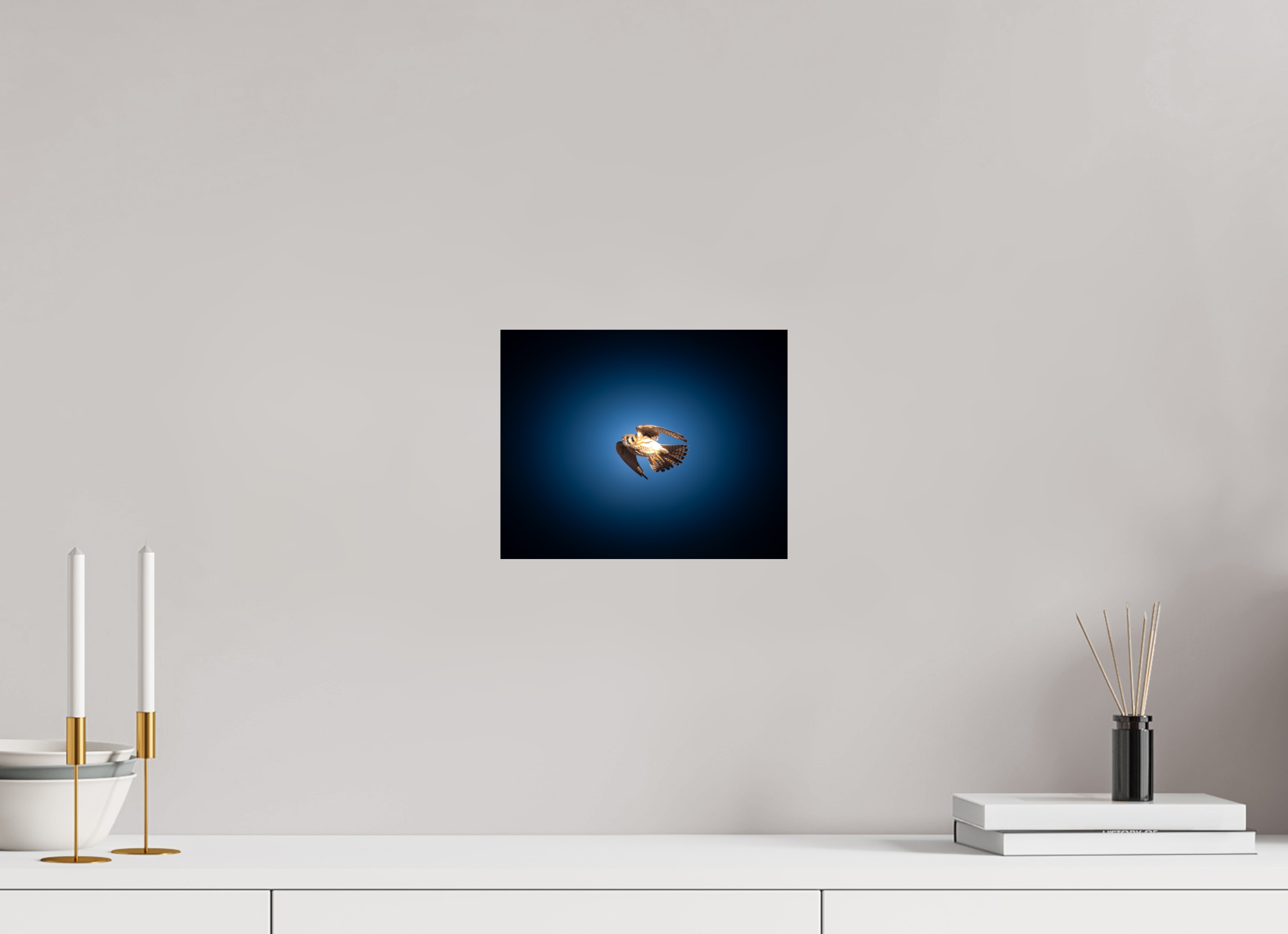 10 x 8″, Photo Print On Fuji Crystal DP II American Kestrel Soaring in Moody Blue Sky Salt Lake City