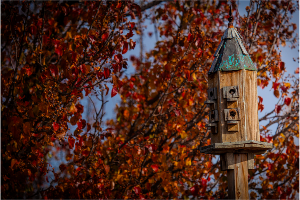 Main image Rustic Wooden Birdhouse Autumn Salt Lake City Utah