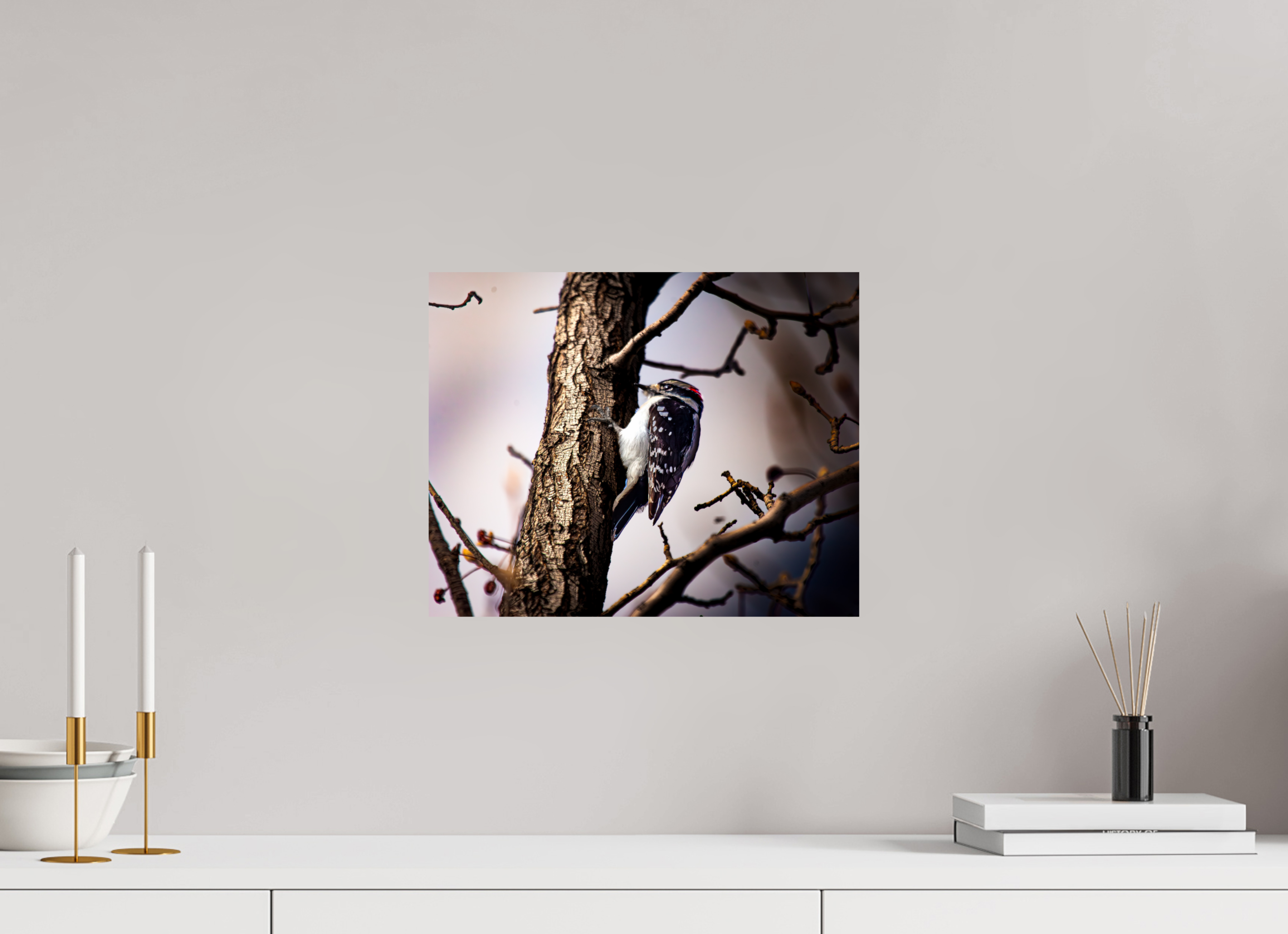 15 x 12″, Photo Print On Fuji Crystal DP II Male Downy Woodpecker on Tree Trunk Salt Lake City