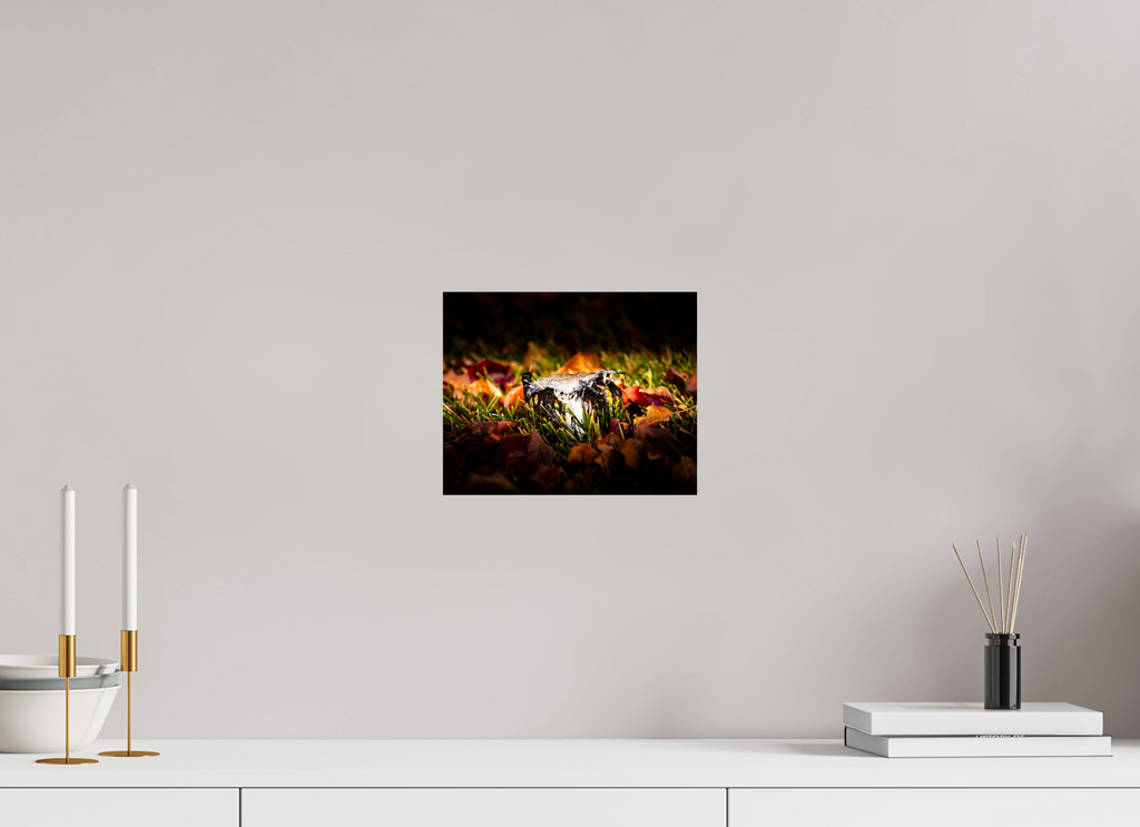 10 x 8″, Photo Print On Fuji Crystal DP II Shaggy Mane Mushroom Decaying in Autumn Leaves SLC