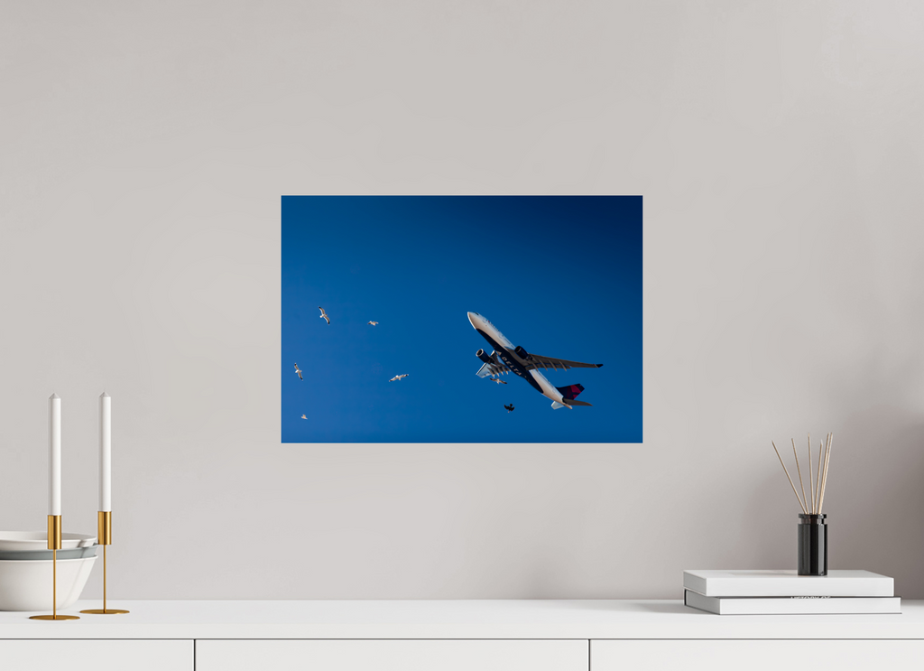 17.6 x 12″, Photo Print On Fuji Crystal DP II Delta Airplane and Seagulls Flight Salt Lake City