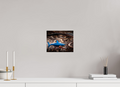 10 x 8″, Photo Print On Fuji Crystal DP II Abandoned Blue Shark Toy Urban Decay Salt Lake City