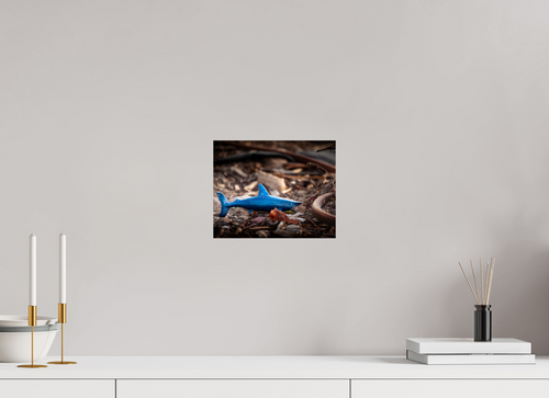 10 x 8″, Photo Print On Fuji Crystal DP II Abandoned Blue Shark Toy Urban Decay Salt Lake City