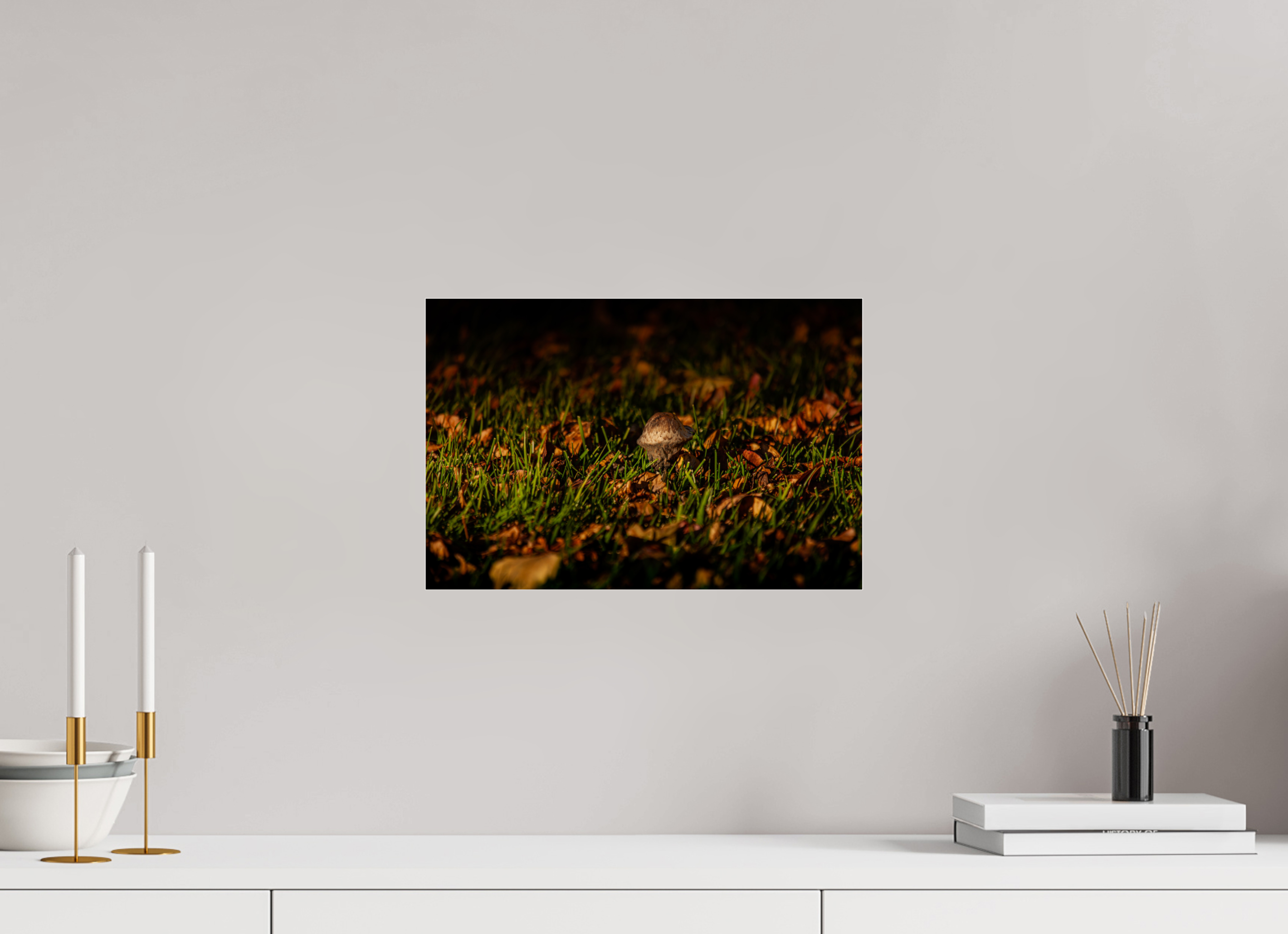 15 x 10″, Photo Print Under Acrylic Glass Autumn Mushroom in Fallen Leaves Salt Lake City Label: Nature Photography
