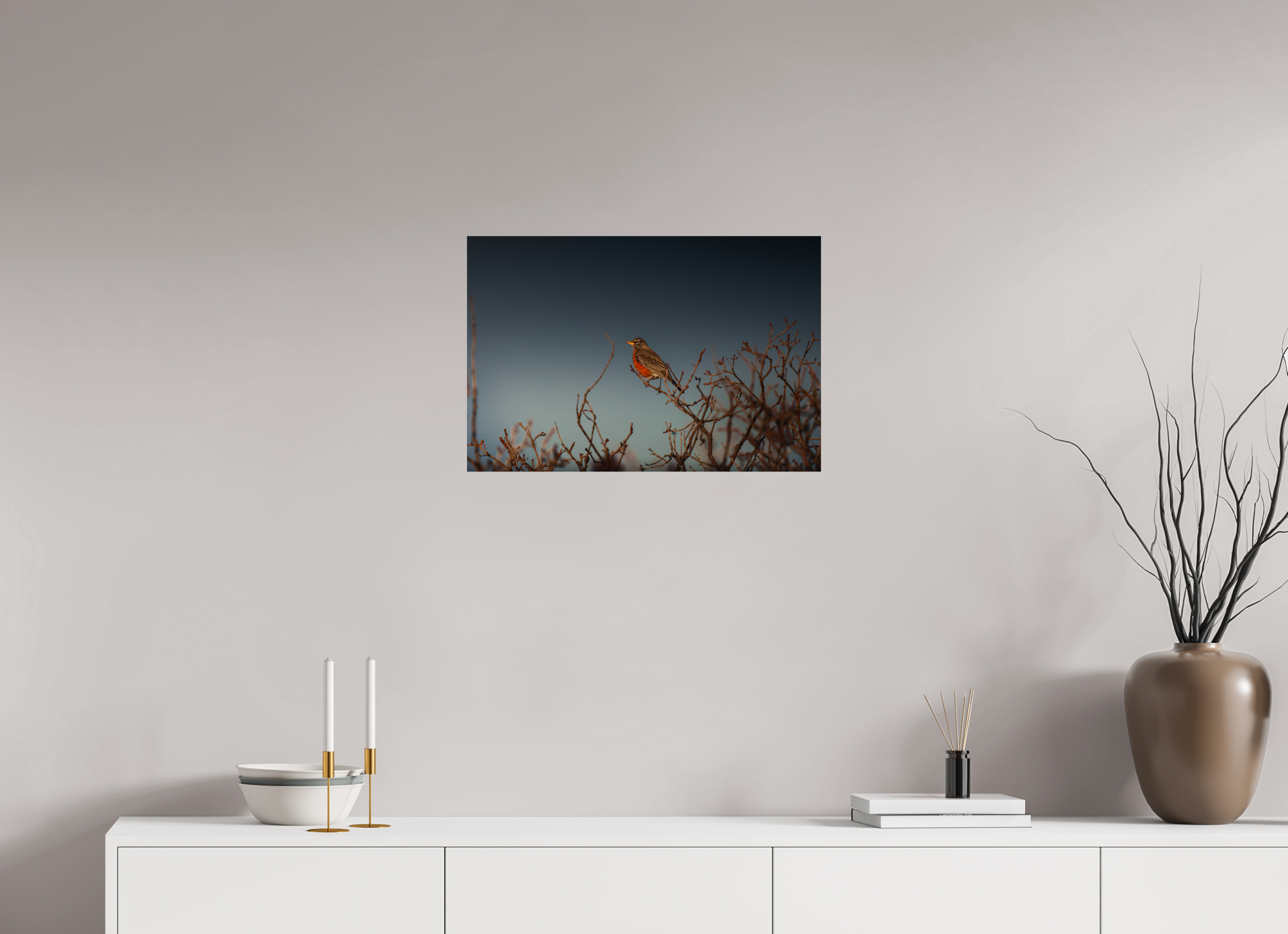 24 x 16″, Photo Print On Fuji Crystal DP II American Robin Perched on Bare Branches Salt Lake City Utah