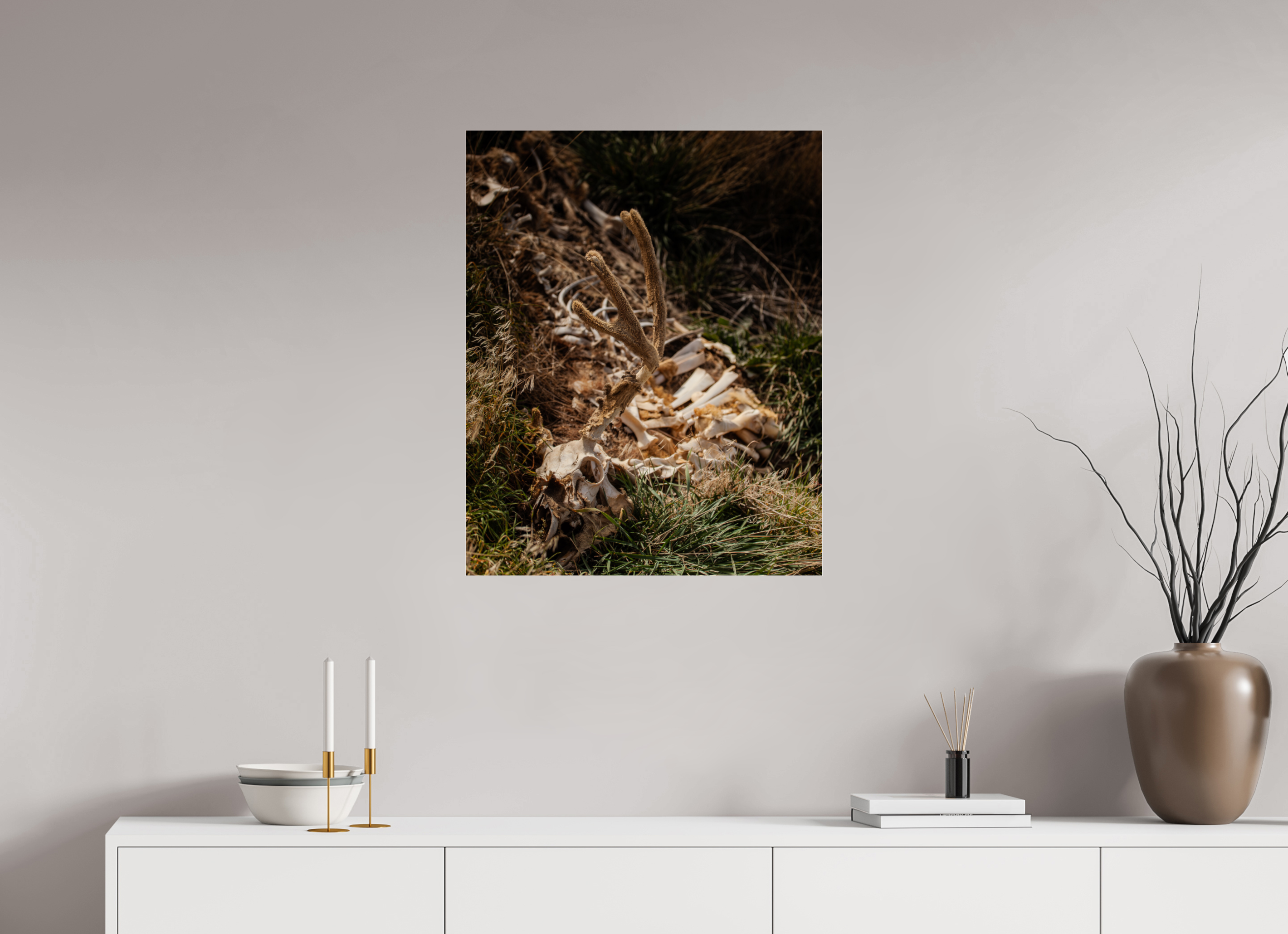 24 x 30″, Photo Print Under Acrylic Glass Mule Deer Carcass with Velvet Antlers Salt Lake City