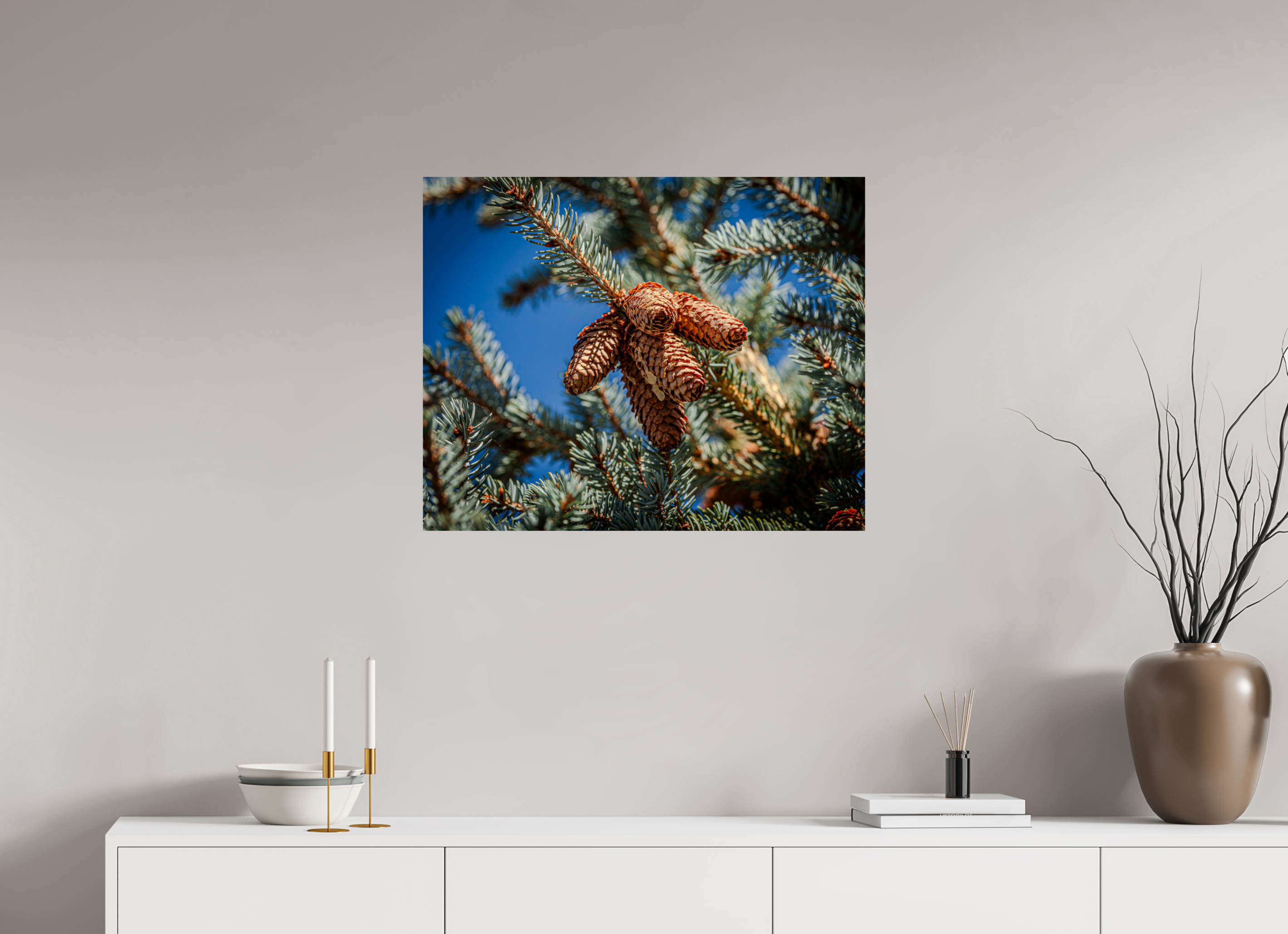 30 x 24″, Photo Print On Fuji Crystal DP II Blue Spruce Pinecones Salt Lake City Utah
