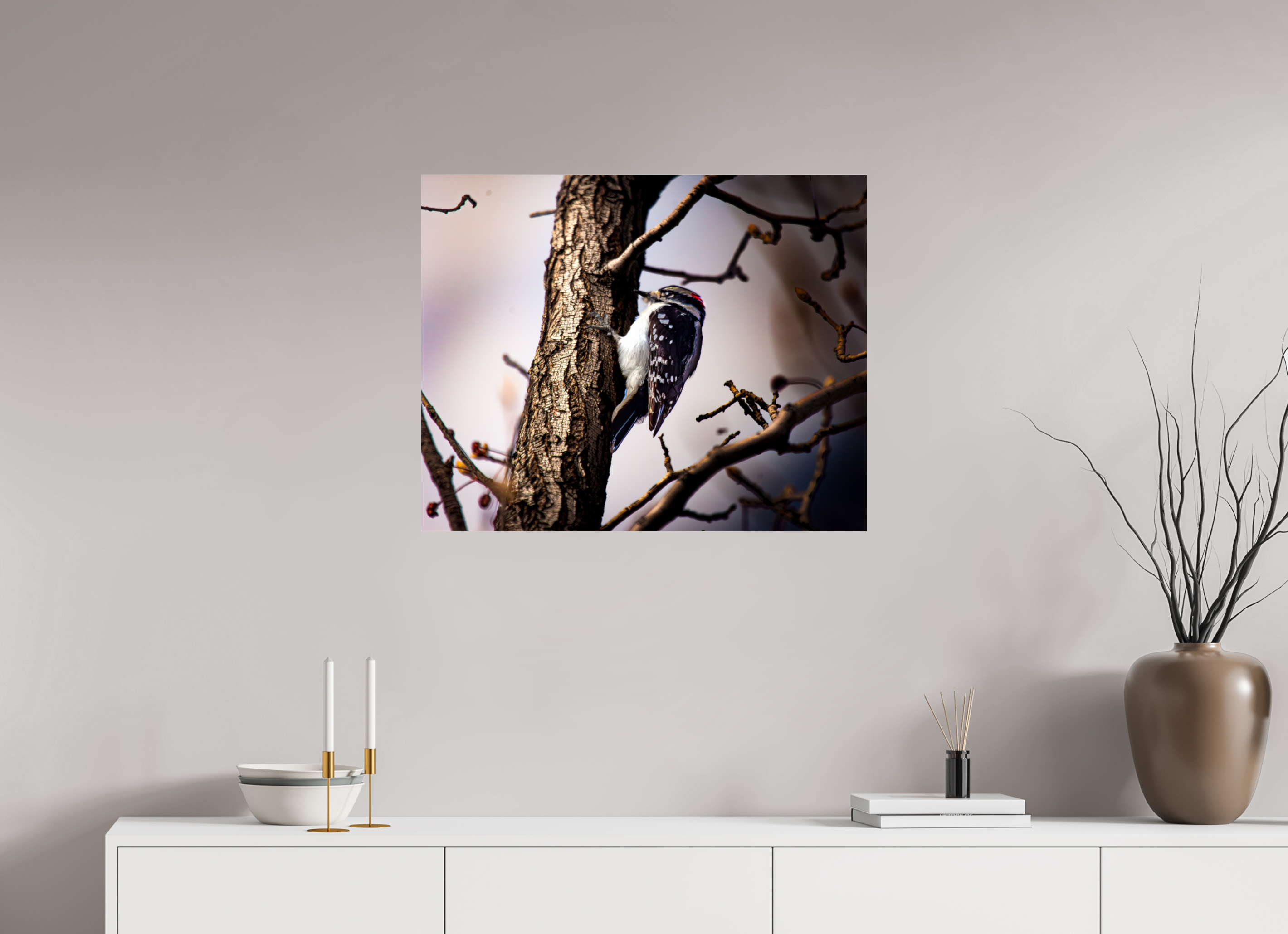 30 x 24″, Photo Print Under Acrylic Glass Male Downy Woodpecker on Tree Trunk Salt Lake City